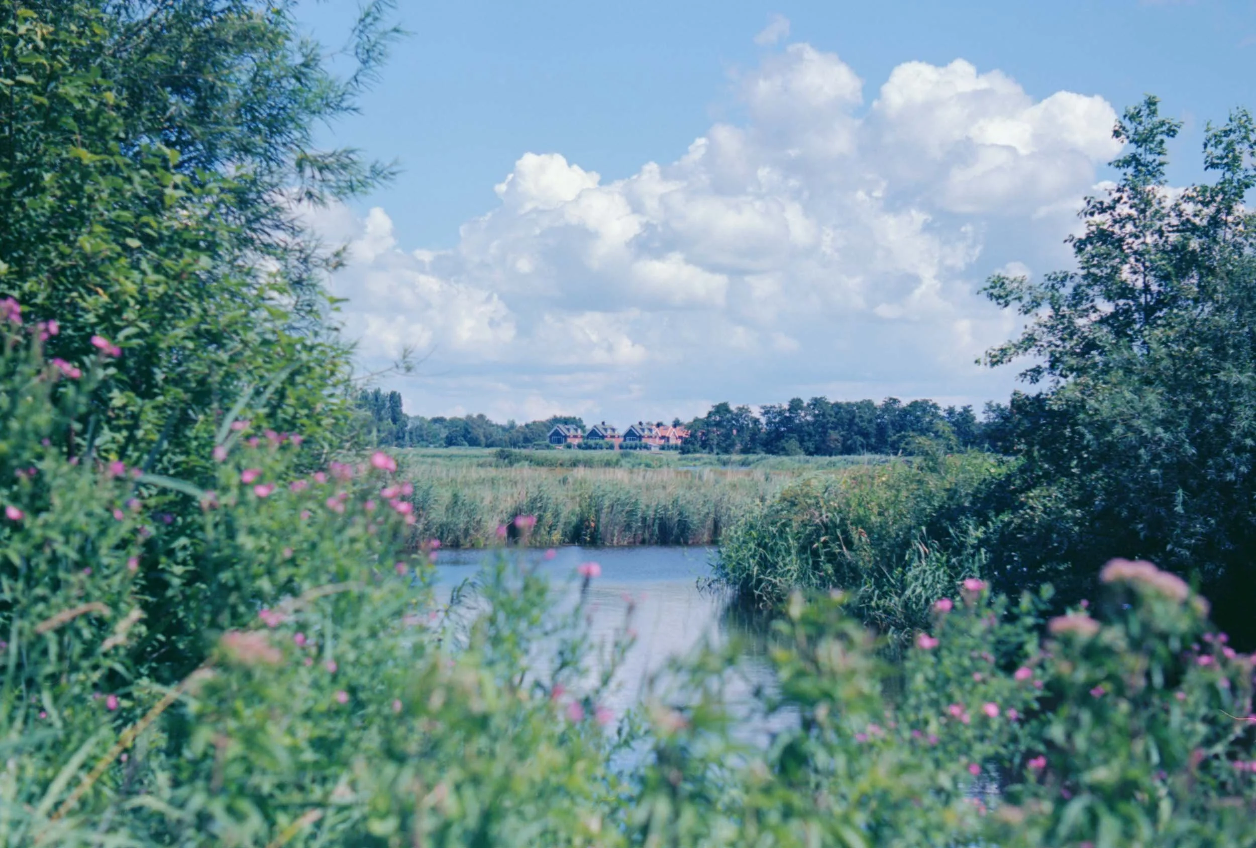 Een vredig landschap met een rivier omgeven door groene struiken en bomen, onder een bewolkte blauwe lucht, met huizen in de afstand.