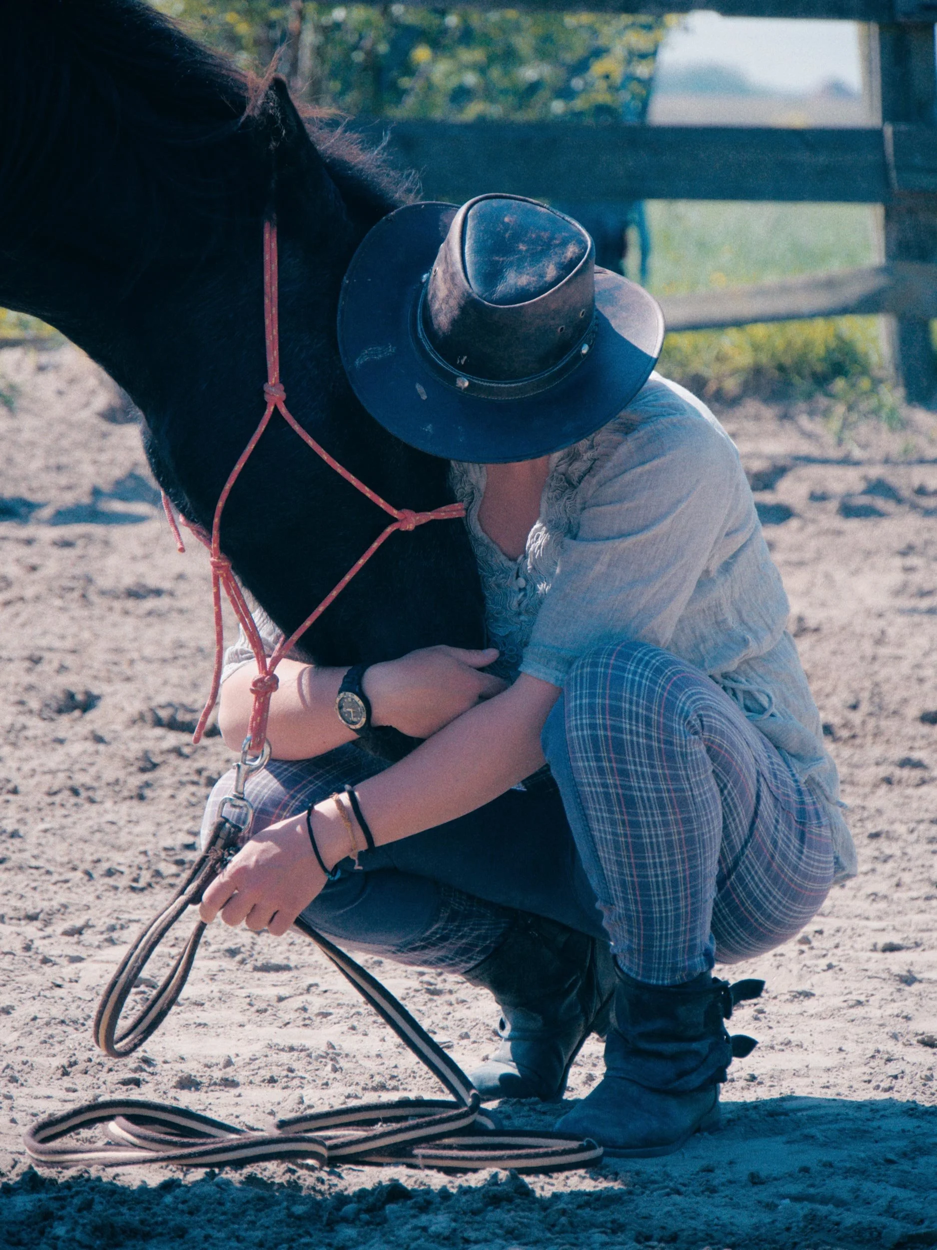 Persoon die knielt naast een zwart paard in een zandbak, met een hoed op het hoofd. Ze knuffelen elkaar onder een boomrijke achtergrond.
