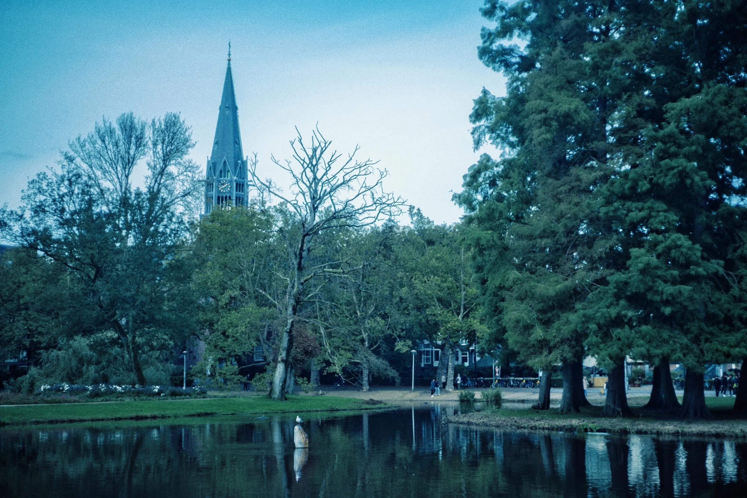 Een park met een meer en diverse bomen, met op de achtergrond een kerktoren met een wijzeruur en een spits. Er zijn mensen en fietsen op het pad naast de bomen en het meer.