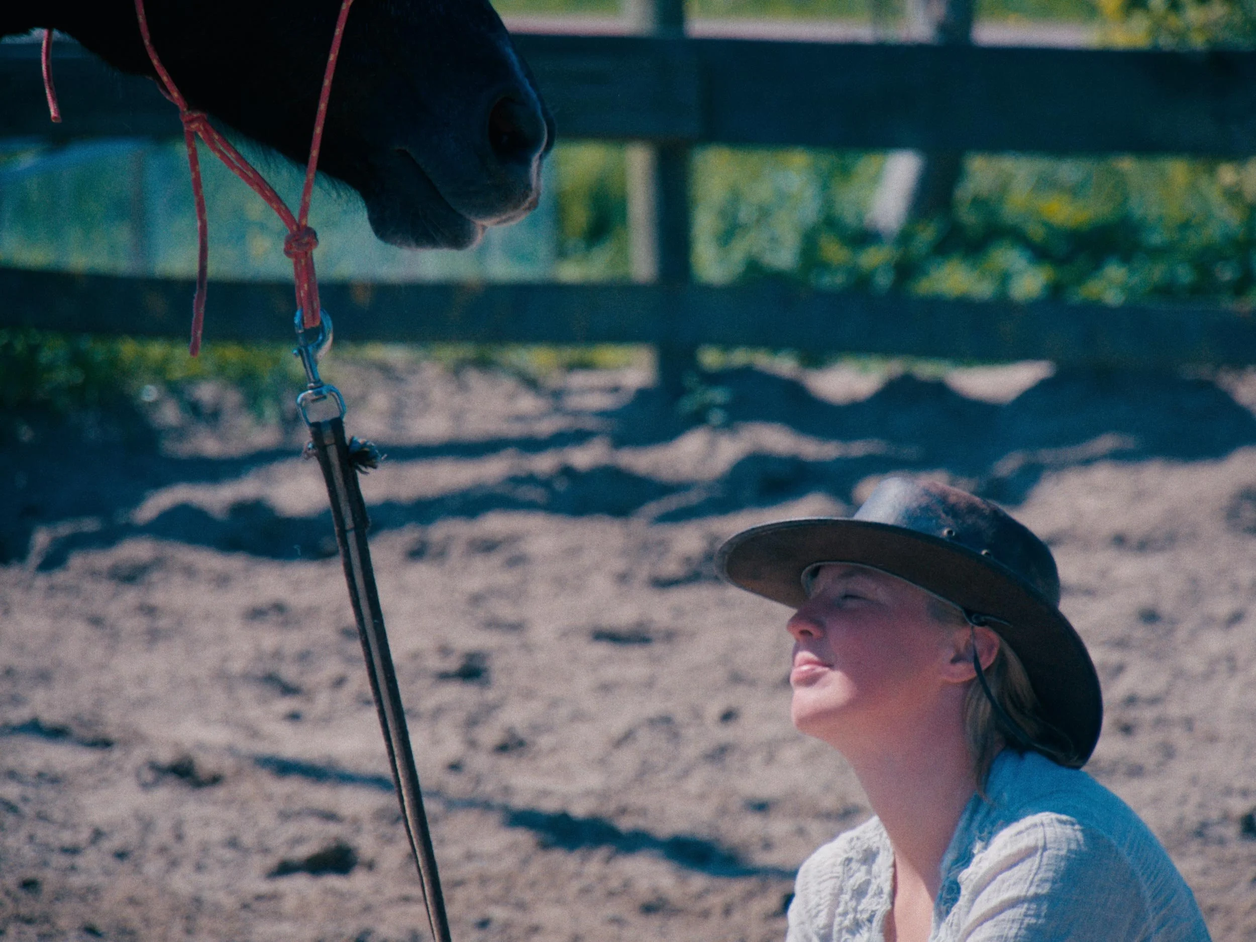 Vrouw met hoed kijkt naar een paard in een omheining op een zonnige dag.