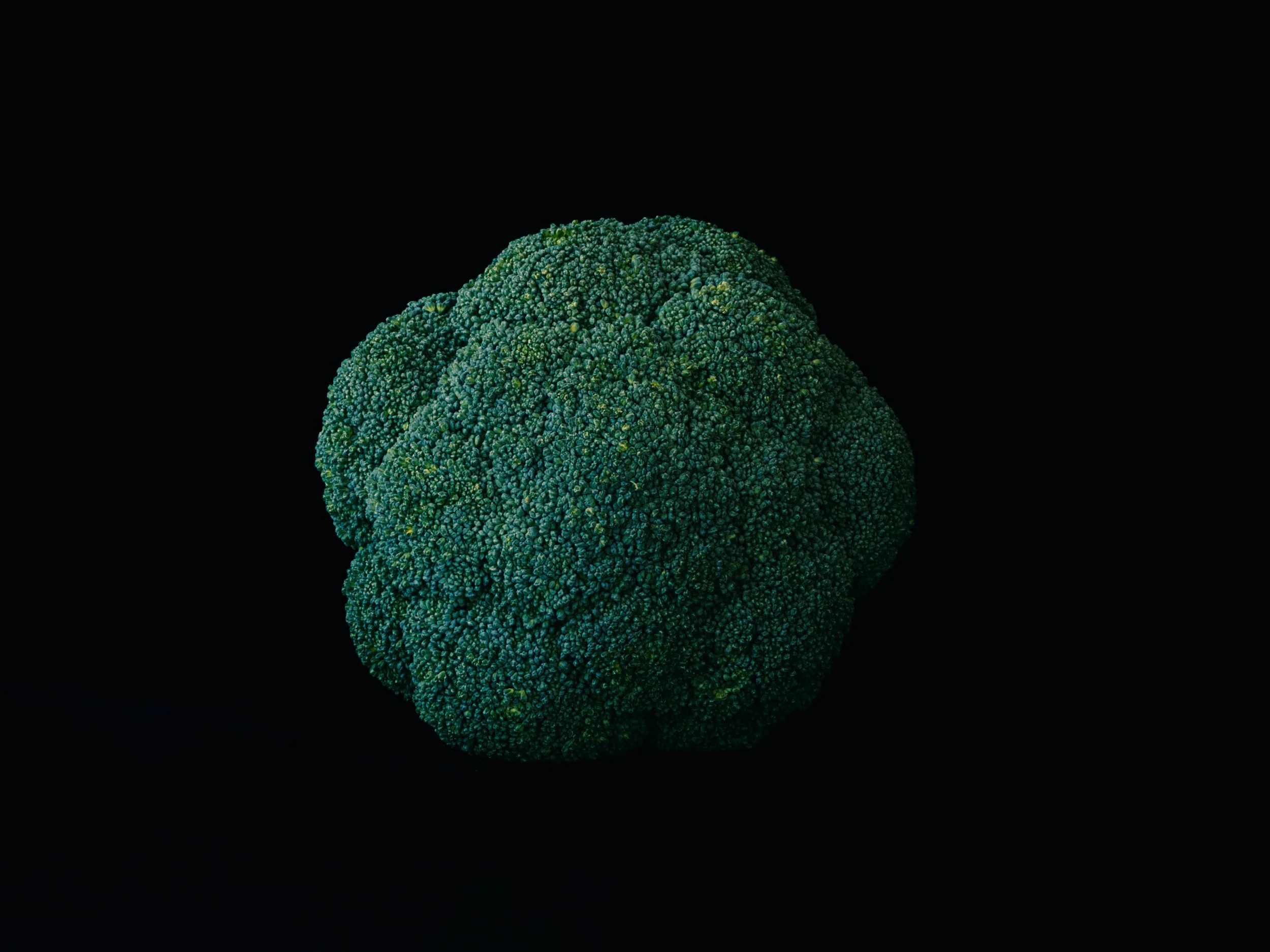 Een broccoli op een zwarte achtergrond.