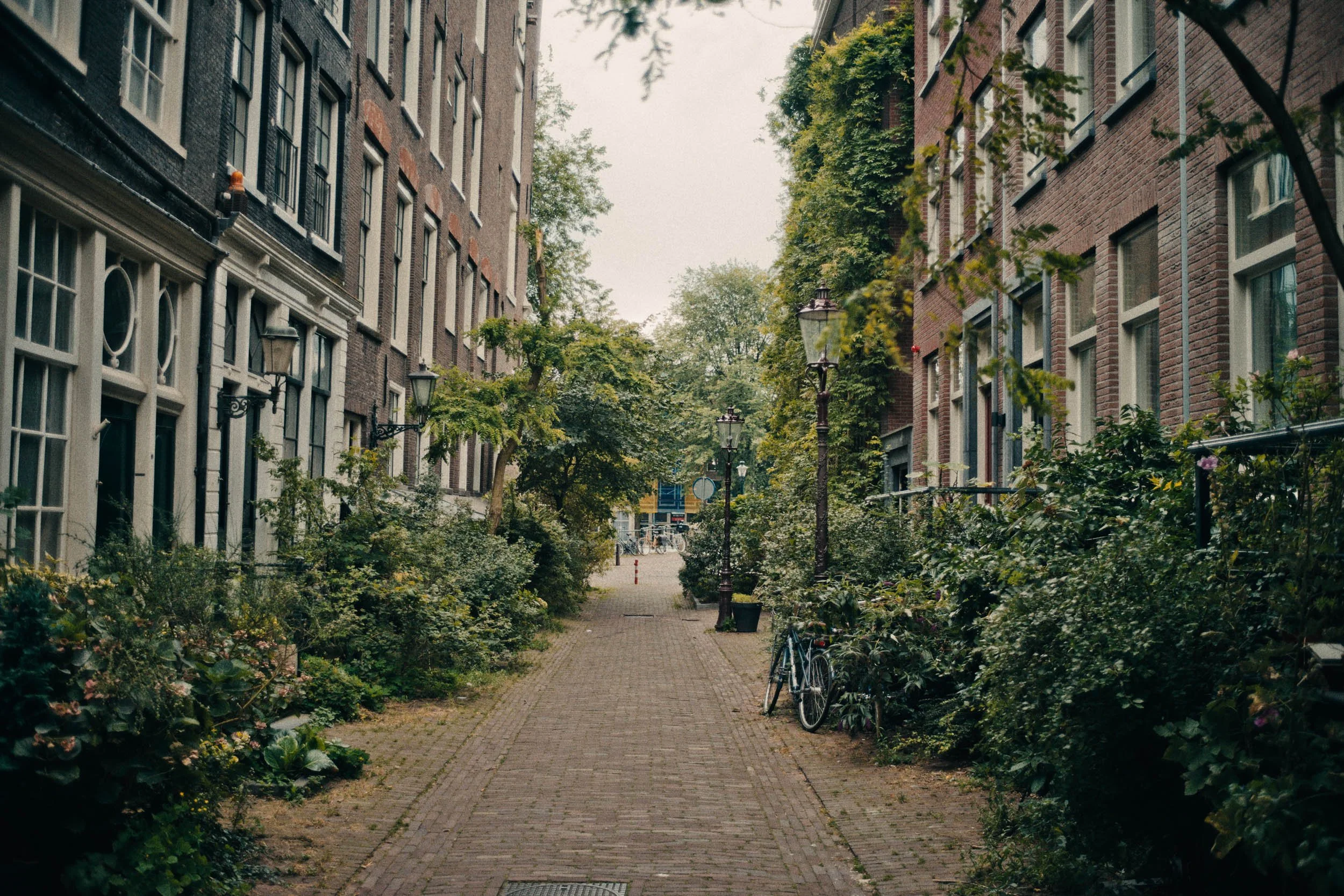 Een smal straatje met stenen pavement, omgeven door ouderwetse bakstenen gebouwen en groene planten, met een fiets langs de kant.