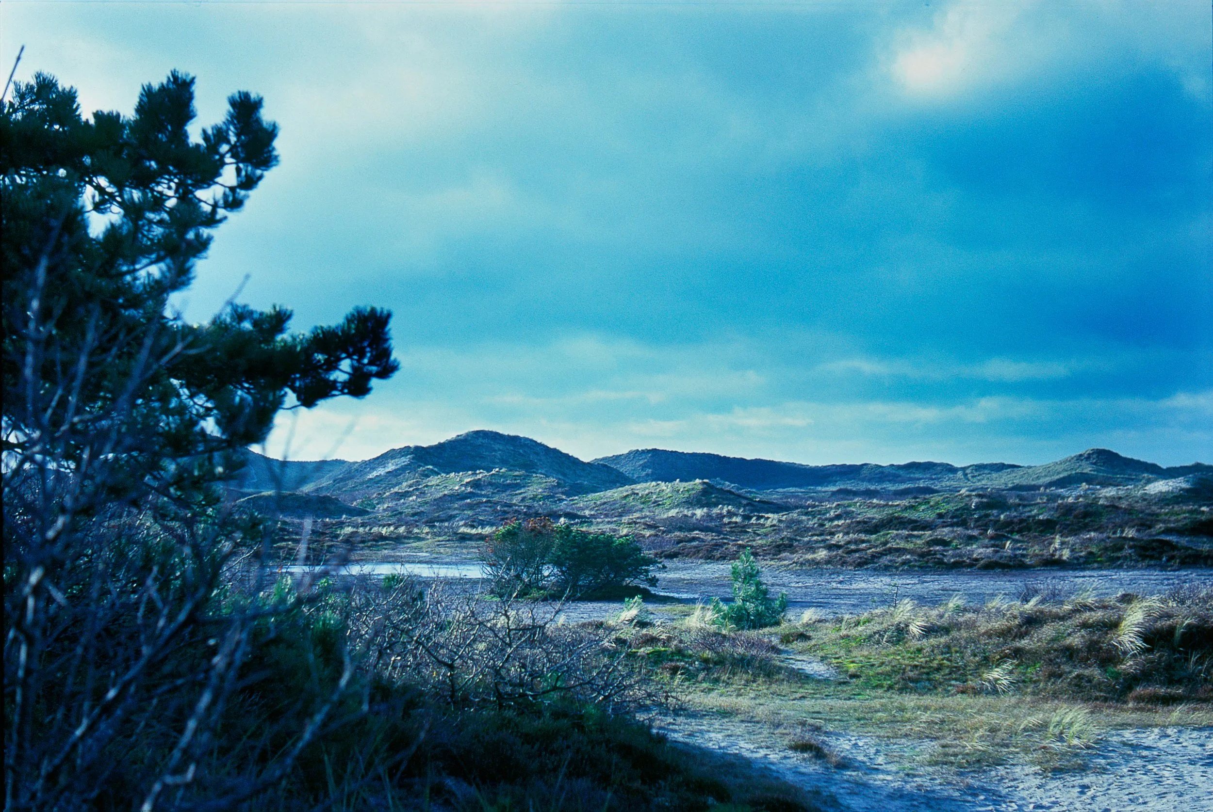 Rugged landscape met heuvels, lage struiken, en een boom rechts, onder een bewolkte blauwe hemel.