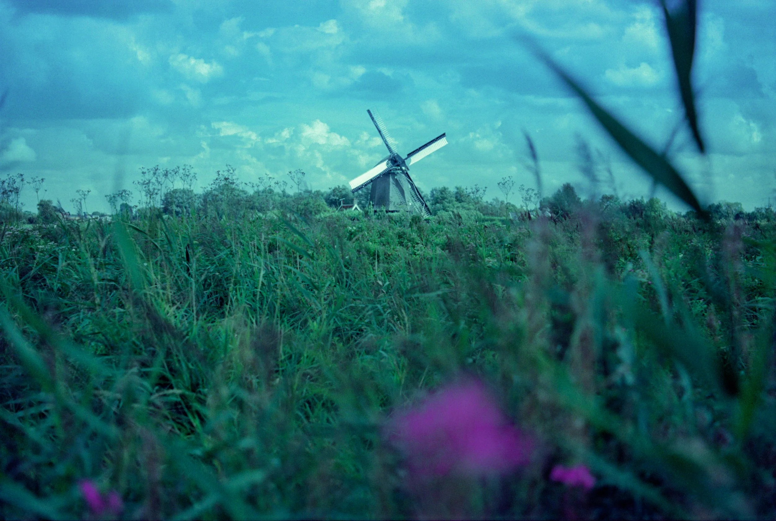 Een windmolen in een groene veld met bloemen, onder een bewolkte blauwe lucht.