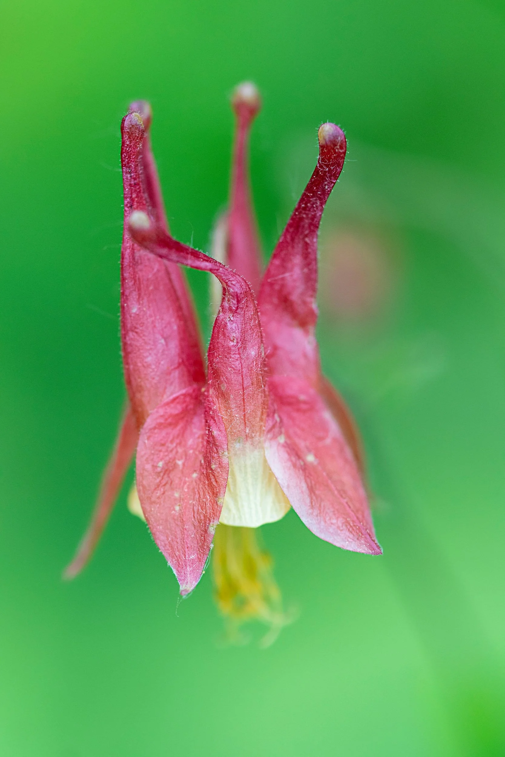 a_A7R9905.jpg