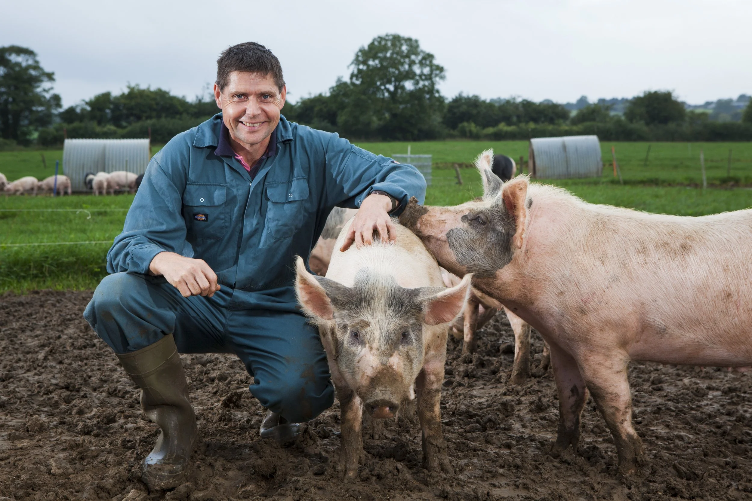 editorial-portrait-of-pig-farmer-with-pigs-by-alexander-caminada-photography-13801-120.jpg
