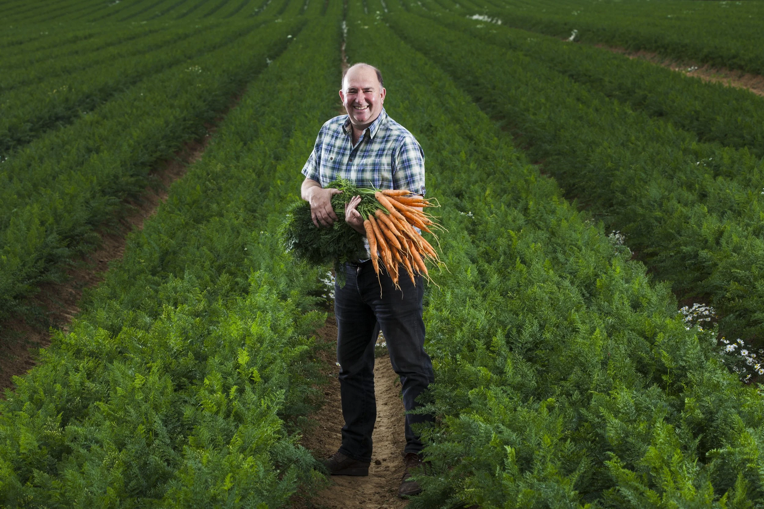 editorial-portrait-photograph-of-farmer-with-large-bunch-of-carrots-by-alexander-caminada-photography-13787-003.jpg