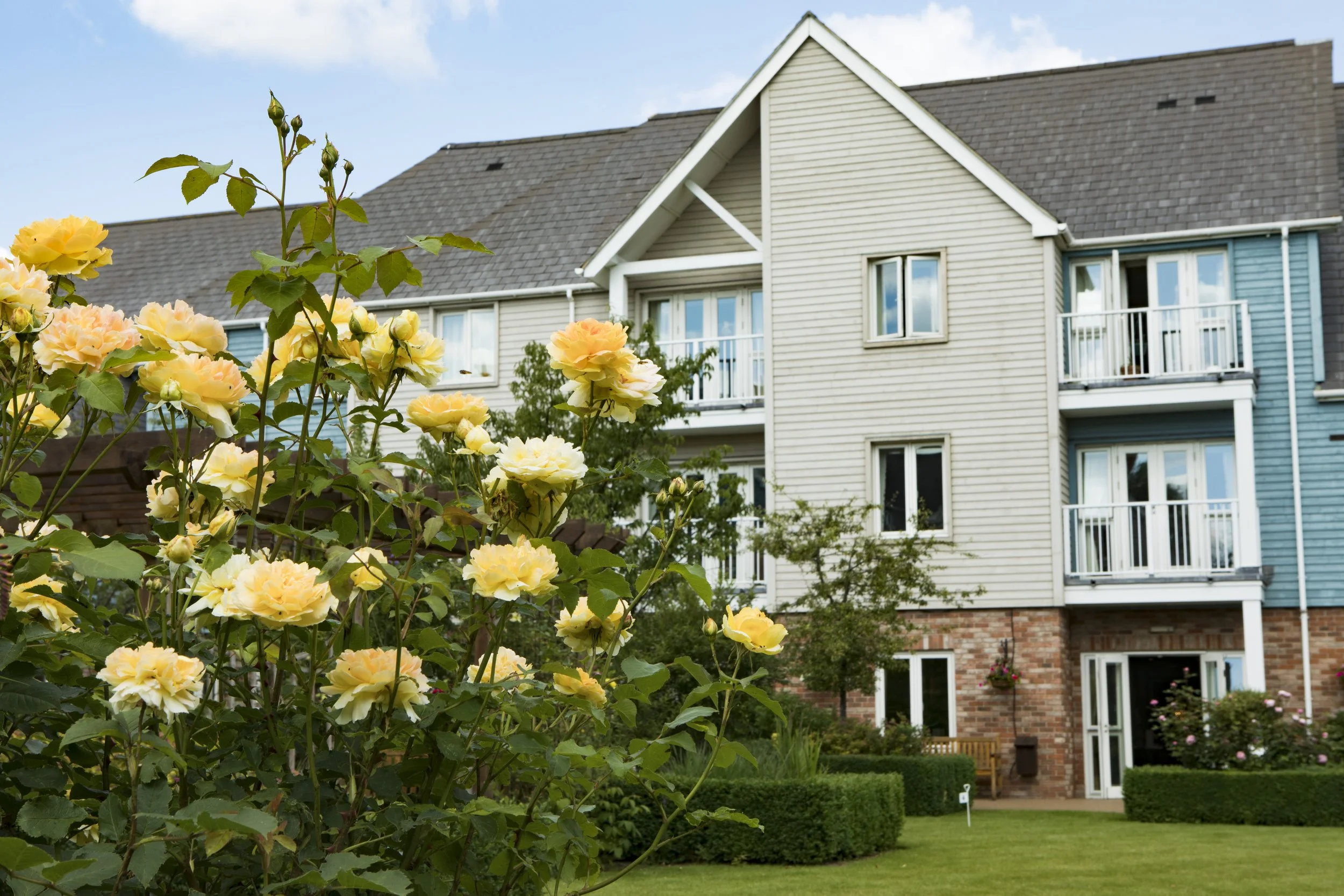 Retirement village exterior with garden roses