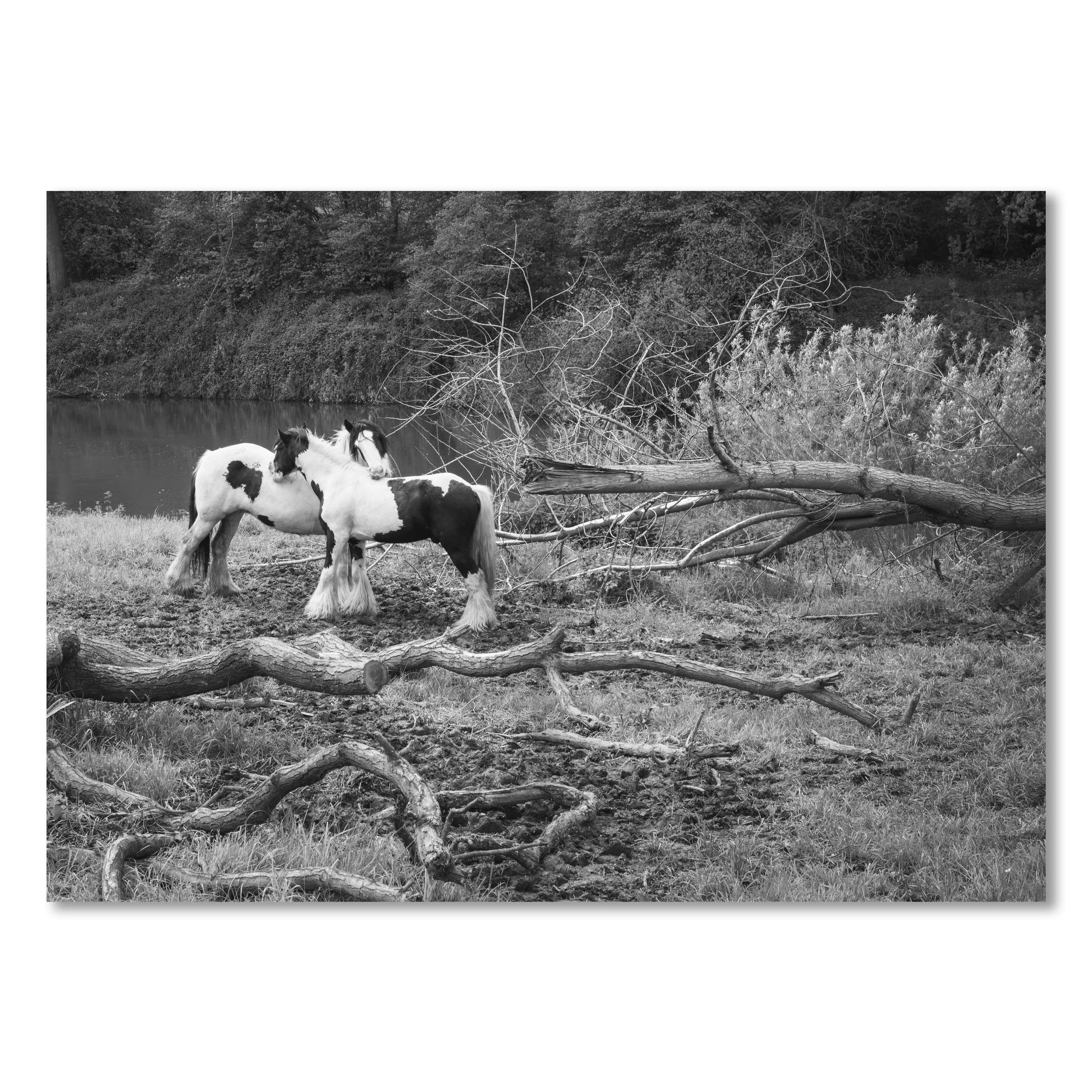 Recordist 001 - A Temporary Place - 9-10.jpg