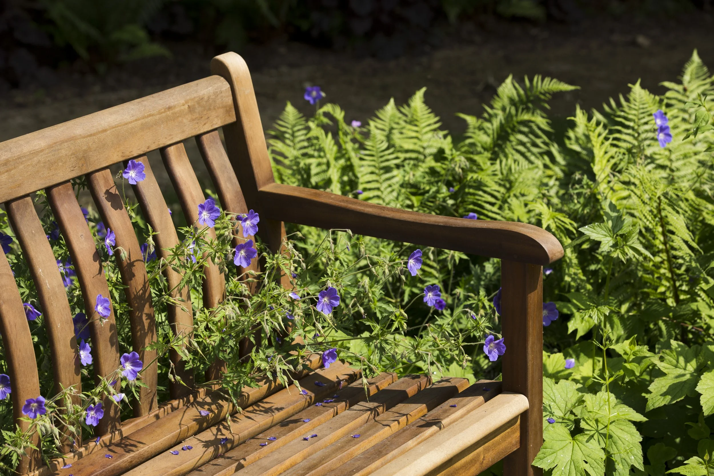 Detail of bench with flowers