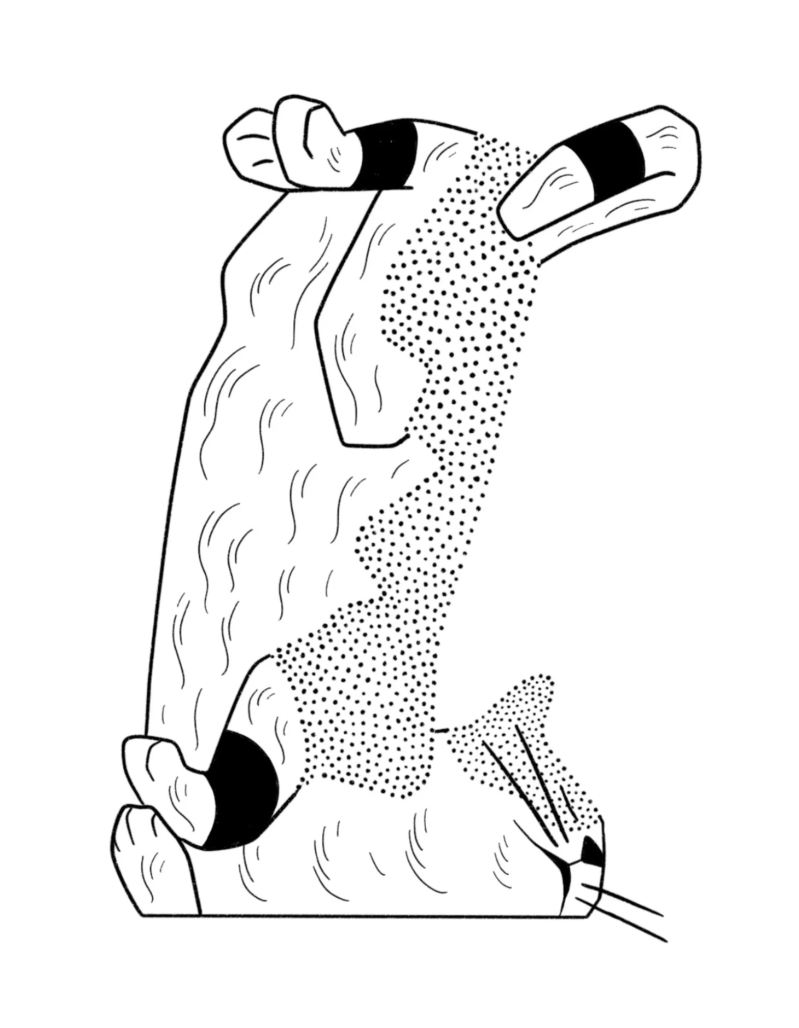 Untitled_Artwork 2.jpg