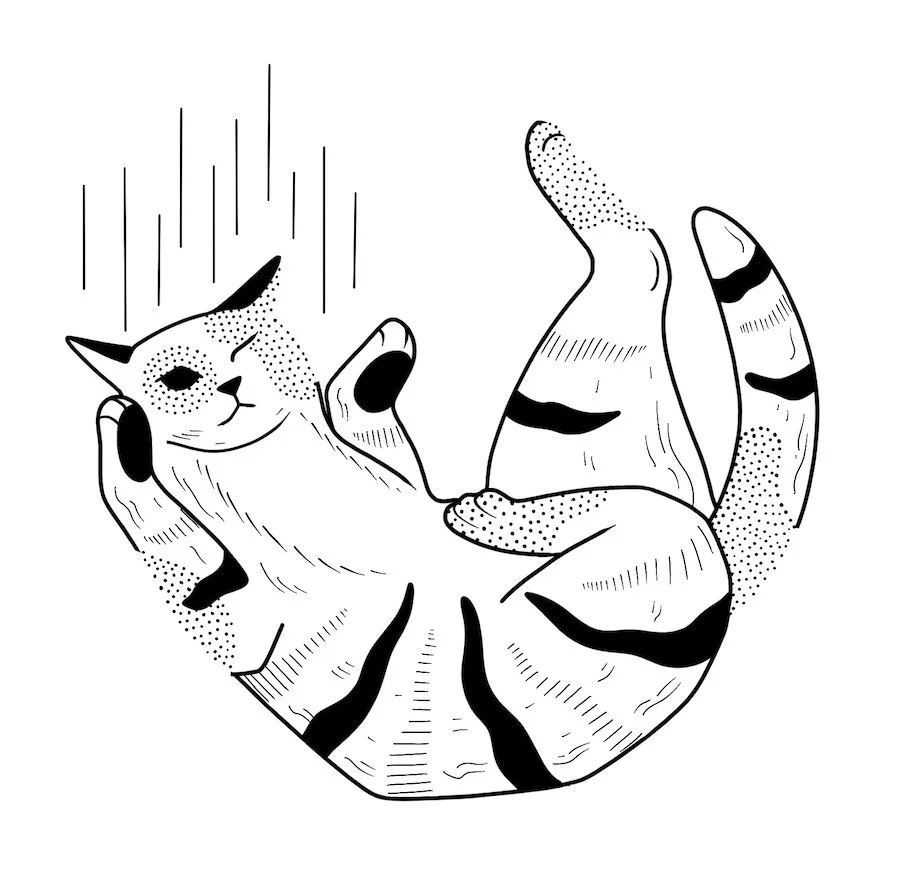 Untitled_Artwork 3.jpg