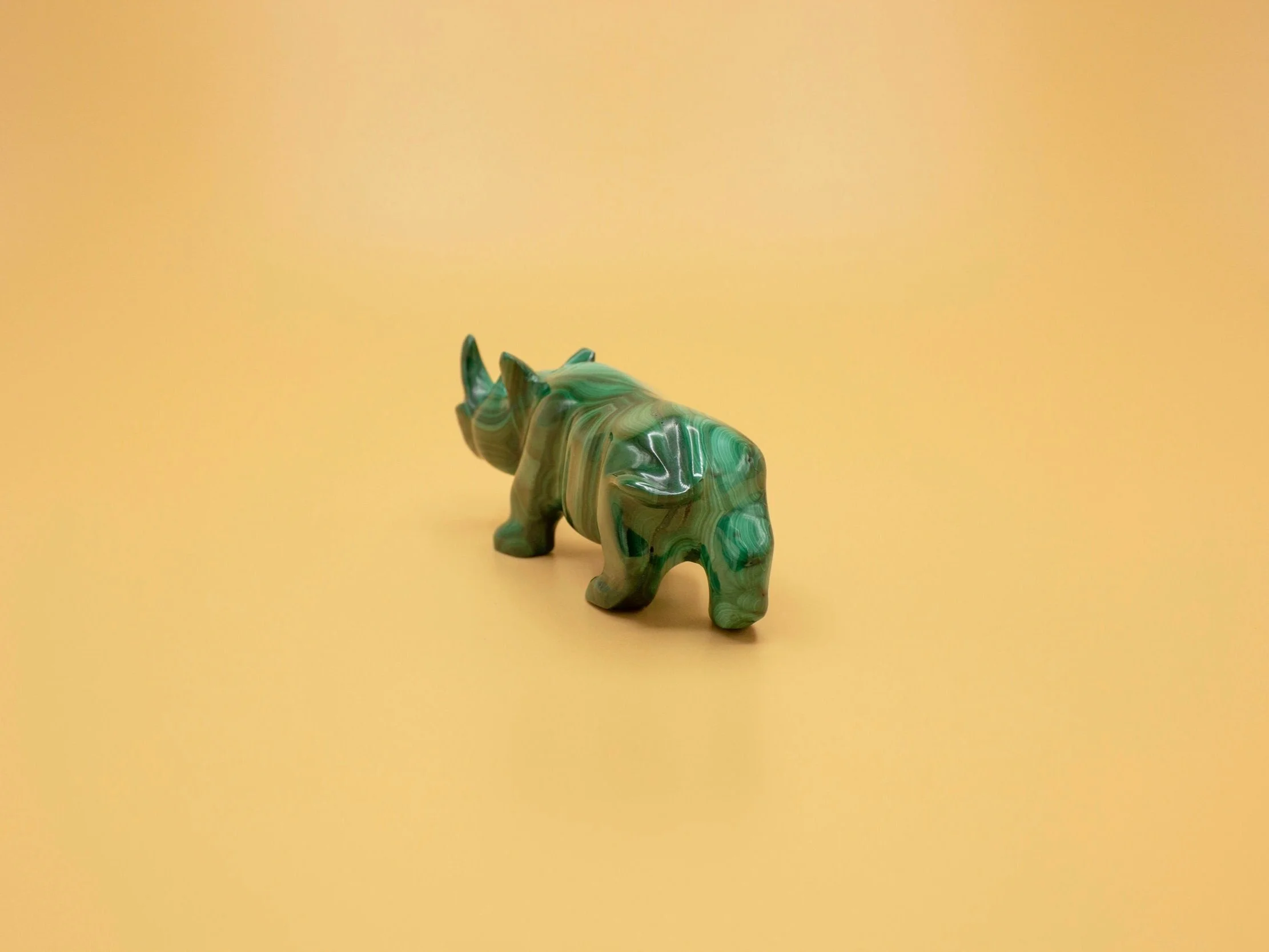 MalachiteRhino_4.jpg