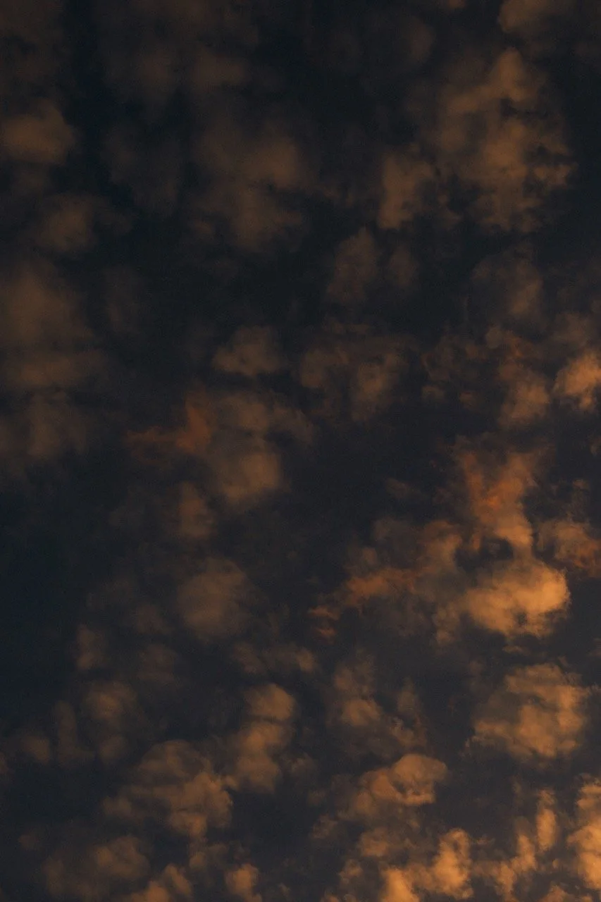 Untitled-256561 Large.jpeg