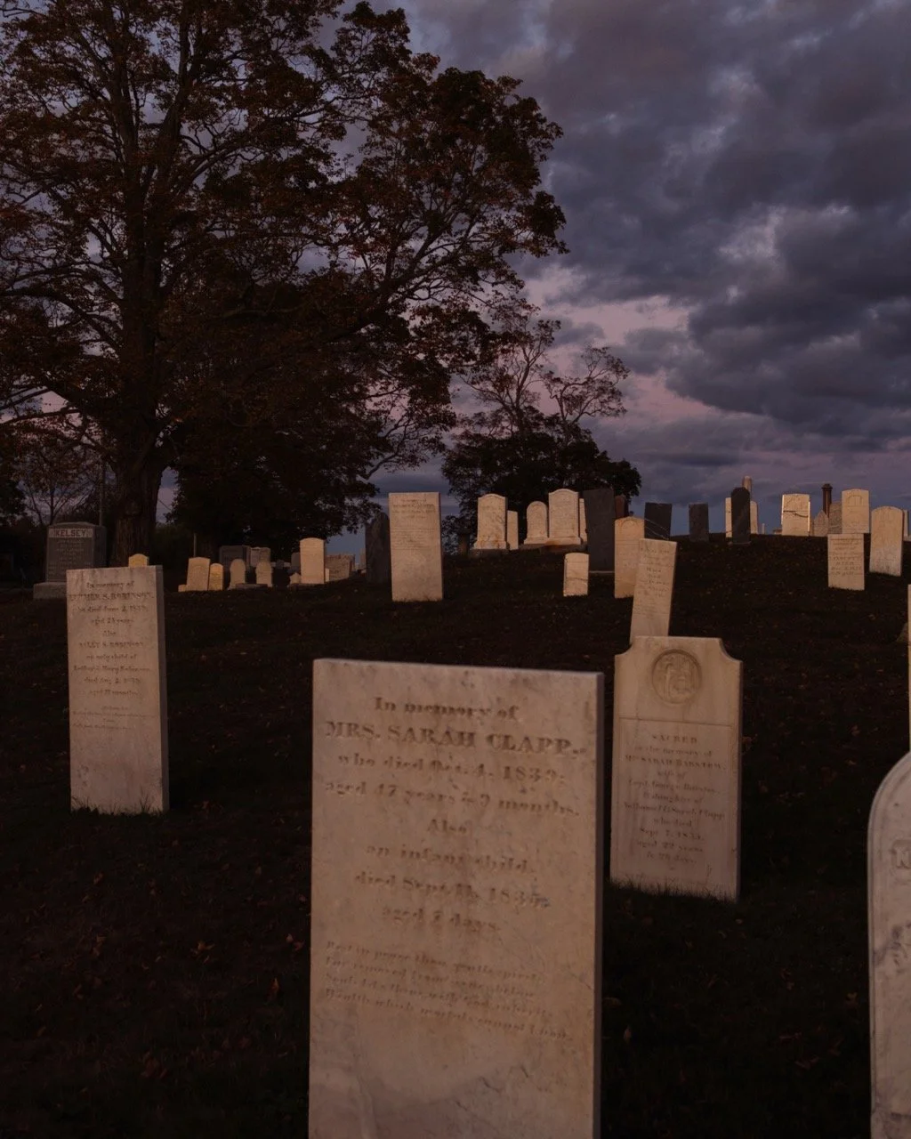 Untitled-256246 Large.jpeg