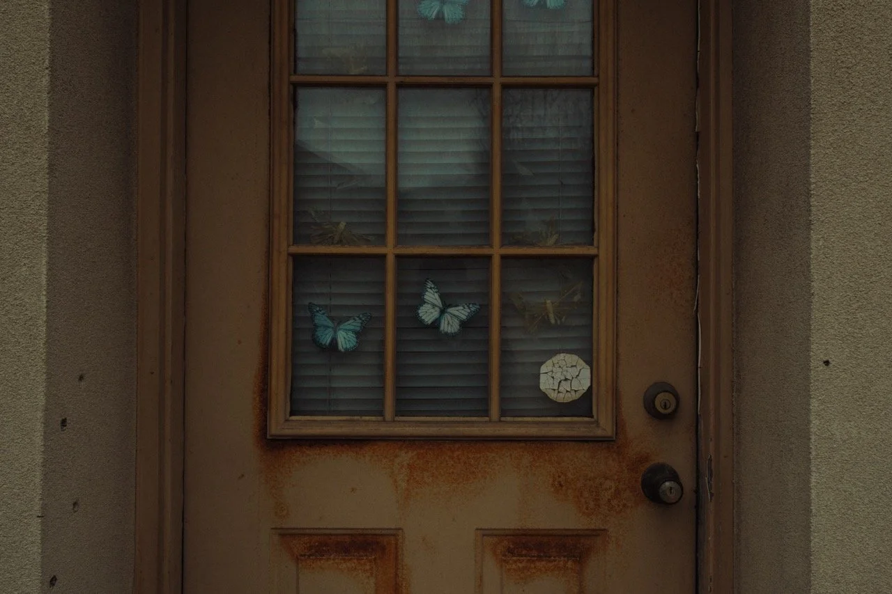 An old rusty door with a window, decorated with butterflies and a cracked circle-shaped ornament, with a lock and handle.