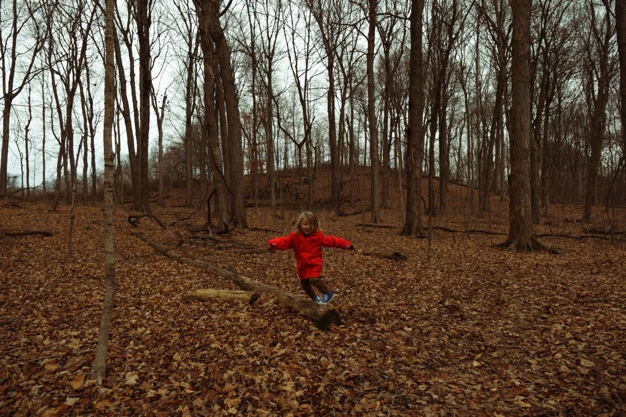 Untitled-256575 Large.jpeg