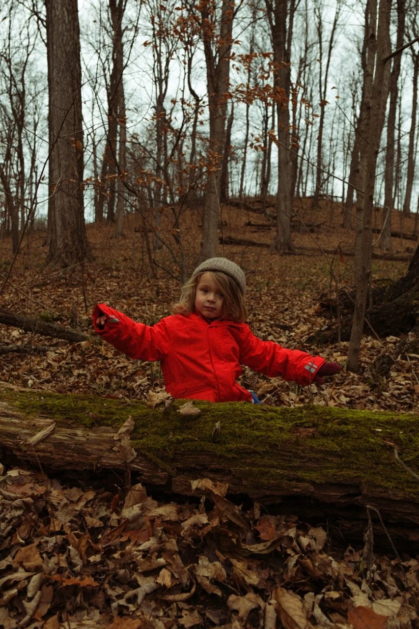 Untitled-256581 Large.jpeg