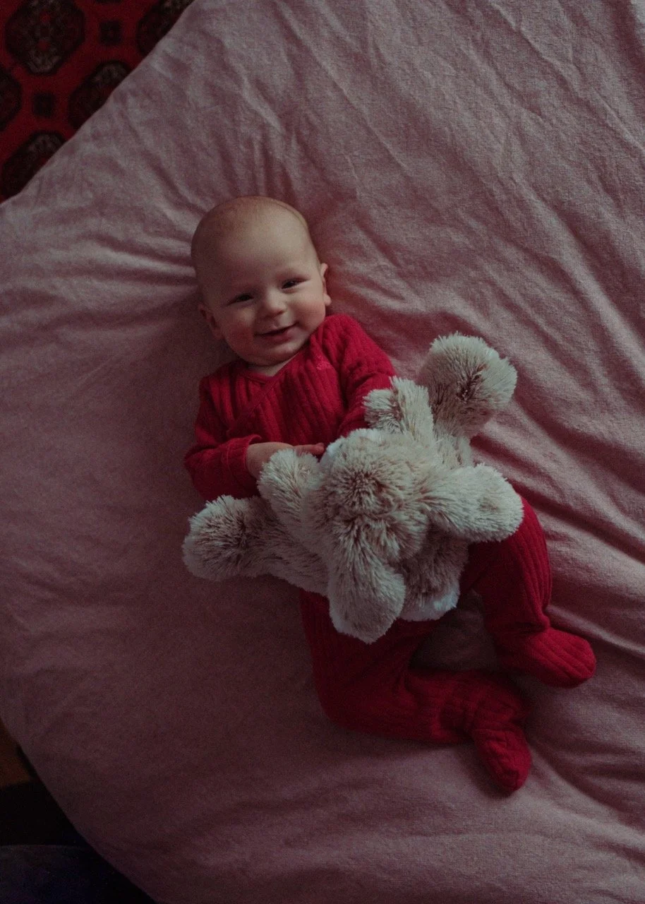 Untitled-256852 Large.jpeg