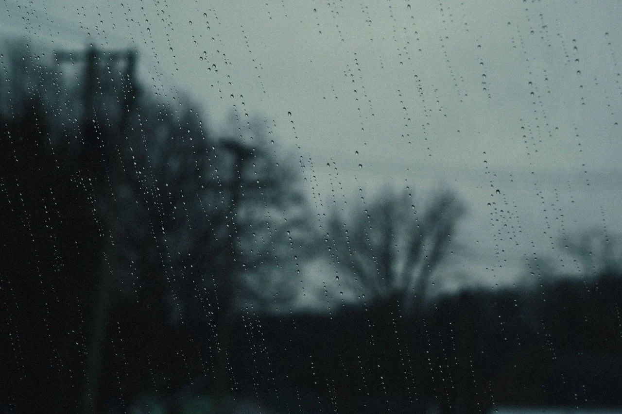 Rain-covered window with blurred trees and power lines outside.