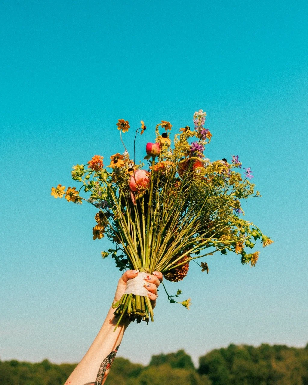 Untitled-255787 Large.jpeg