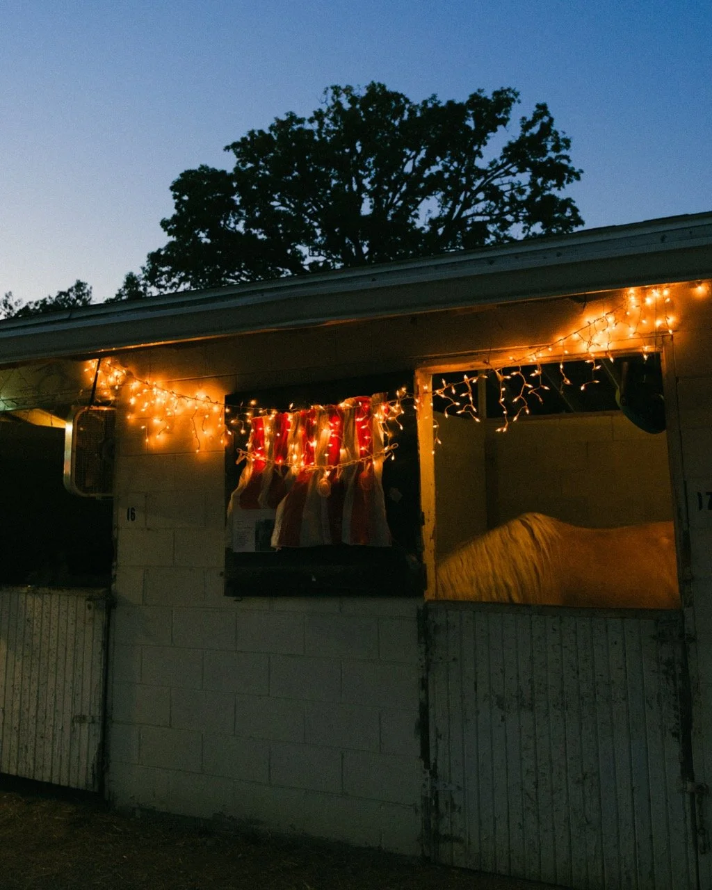 A small building decorated with Christmas lights and stockings hanging up, taken at dusk or early evening.