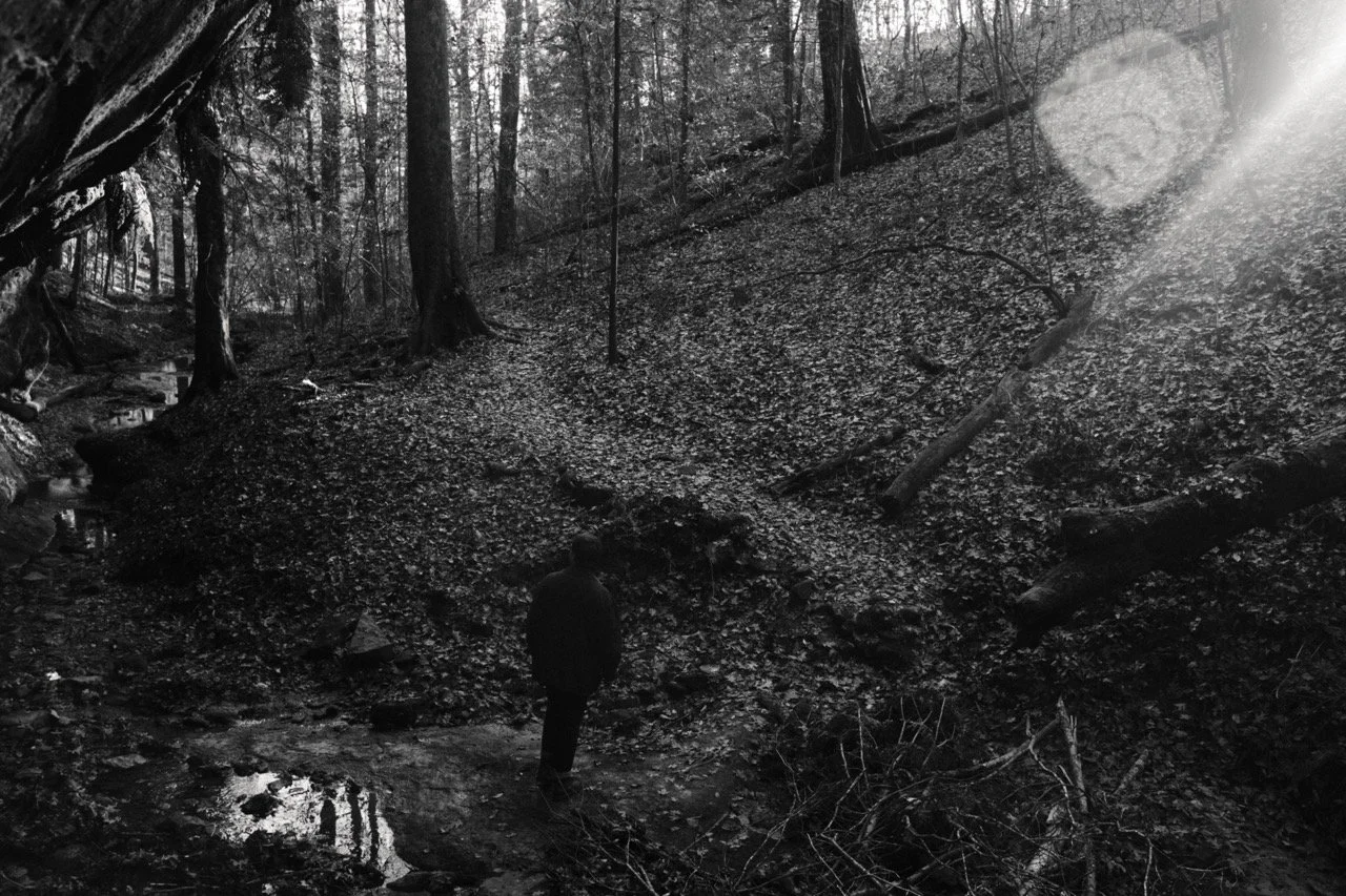 Untitled-256513 Large.jpeg