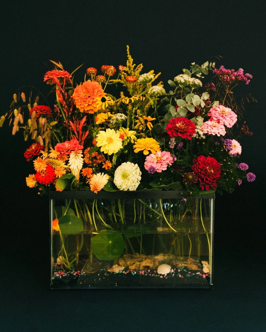 A glass container filled with water, green leaves, and small decorative elements, holding an arrangement of colorful flowers above it, set against a dark background.