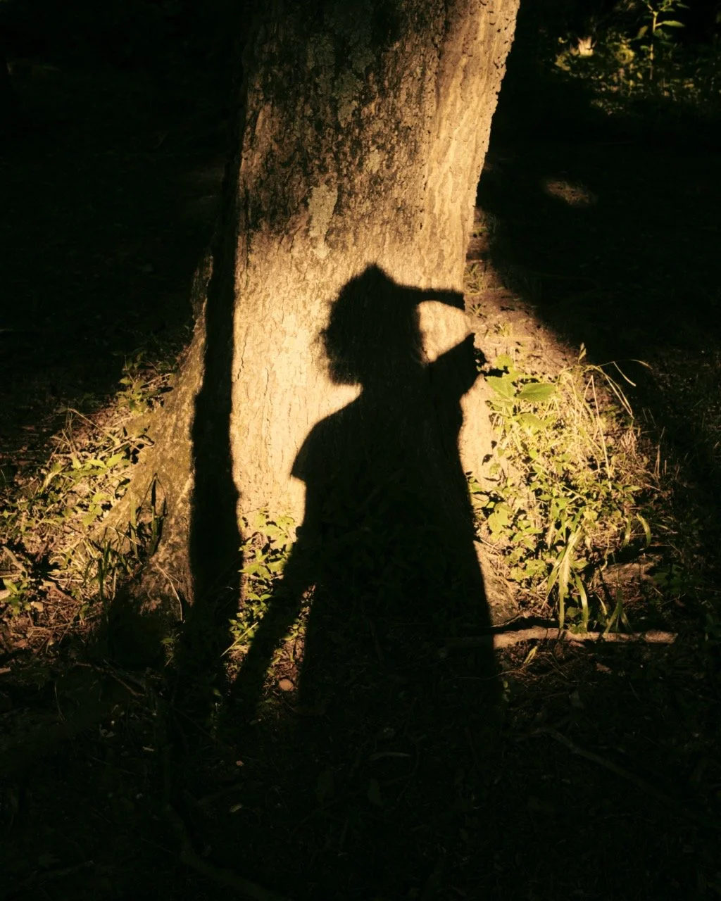 The silhouette of a person with a ponytail, holding their hand to their forehead as if shielding their eyes, is cast on a tree trunk in a dark outdoor setting illuminated by a light.