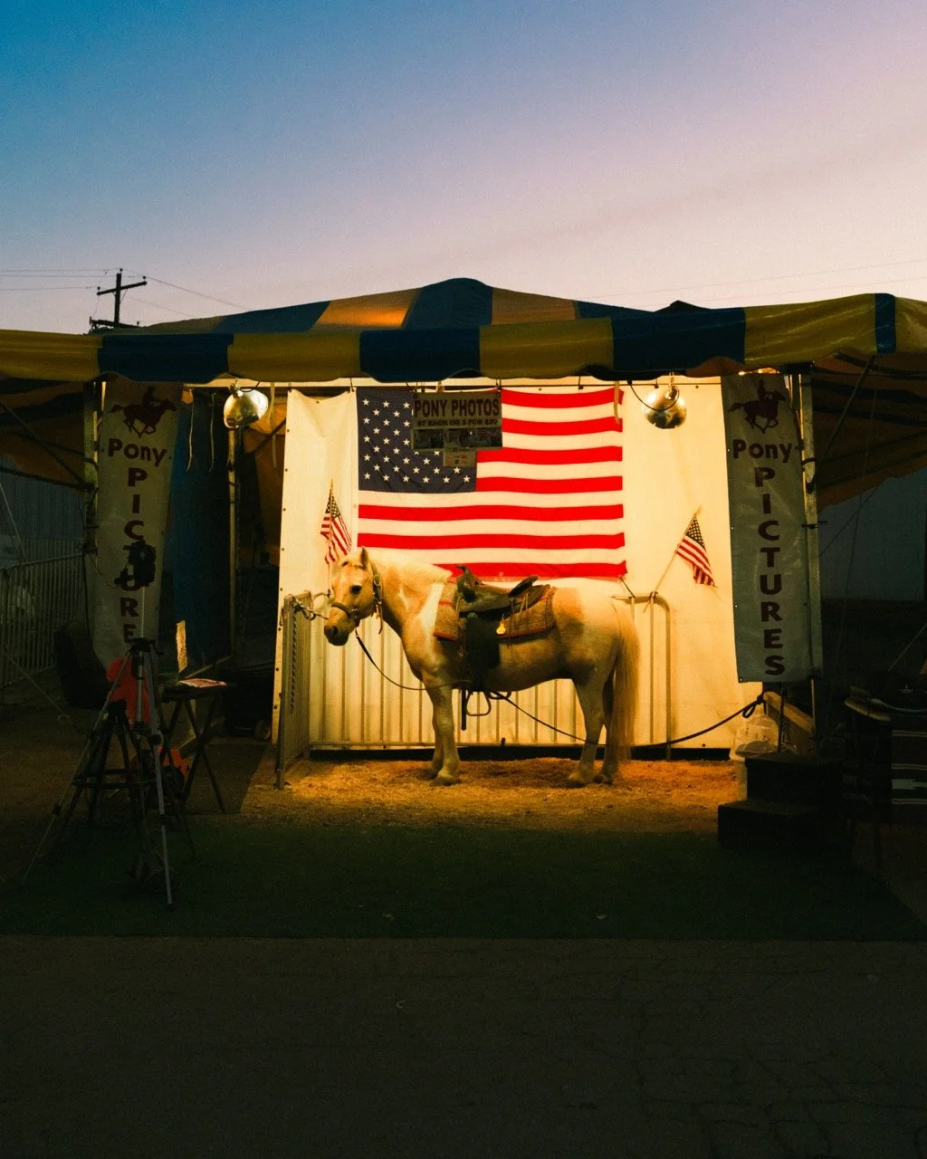 A white horse with a saddle and bridle standing in front of a backdrop with an American flag, inside a small tent with signs reading "Pony Pictures" at a fair or carnival setting during twilight.