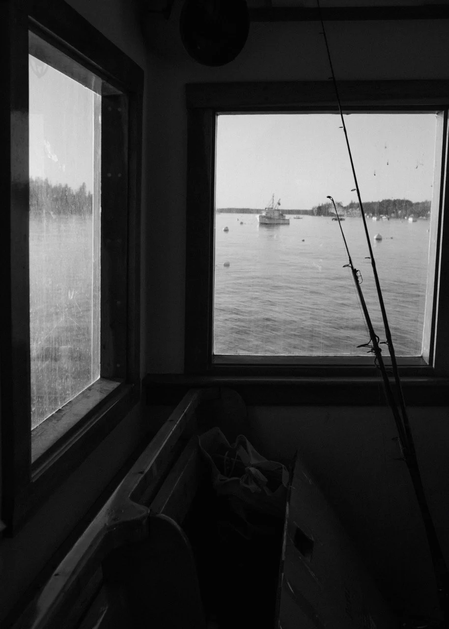 Untitled-256230 Large.jpeg