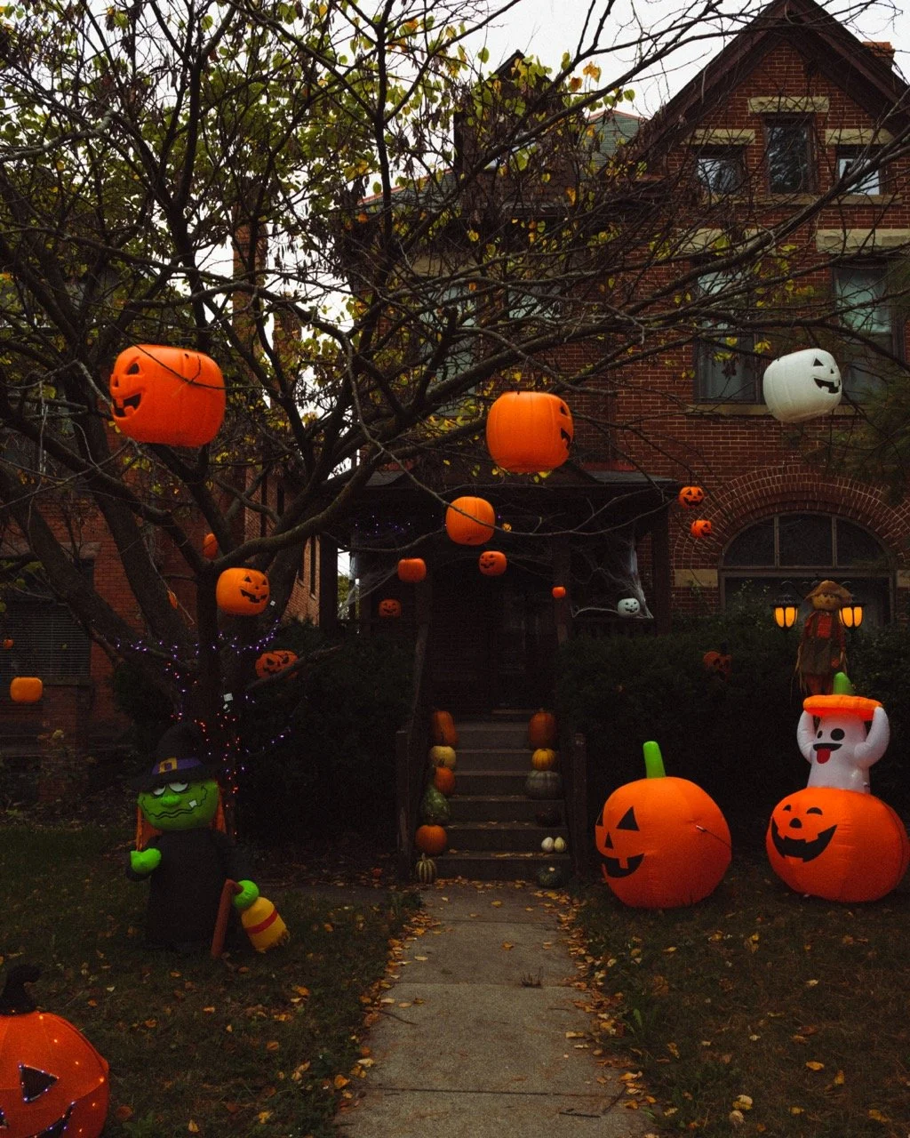 Untitled-256293 Large.jpeg