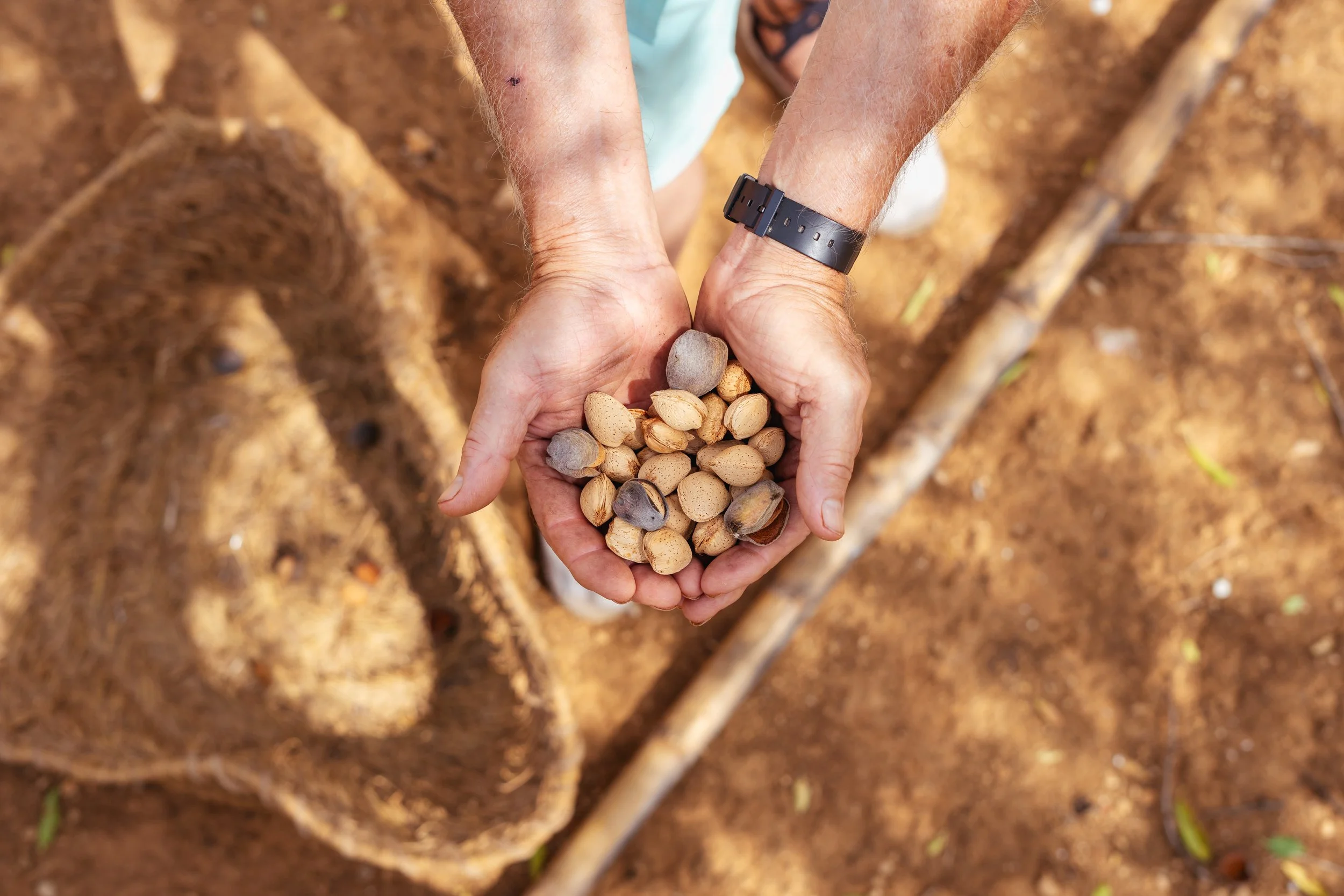 Campañas Institucionales
