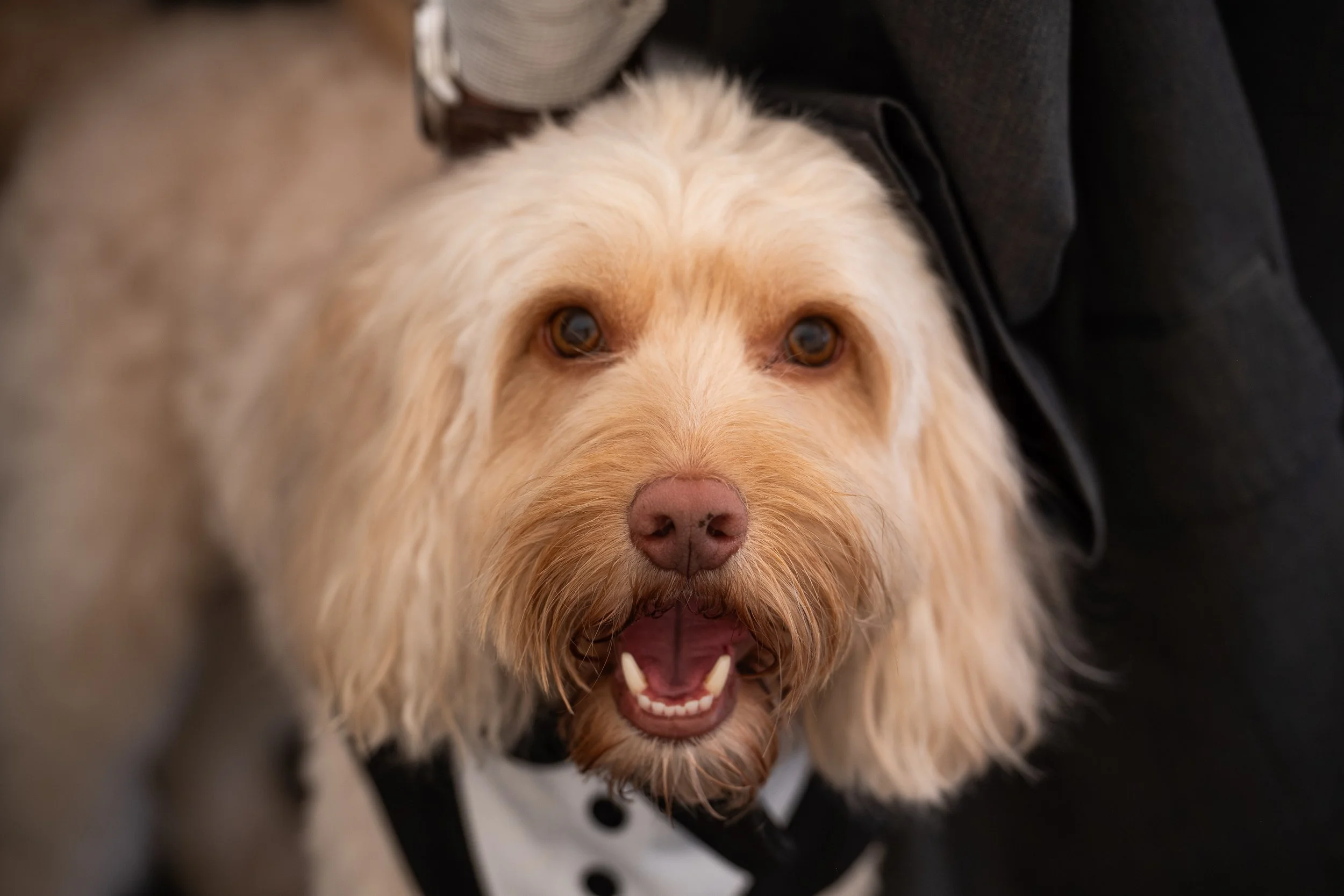 Sami_Ben__Wedding-389.jpg