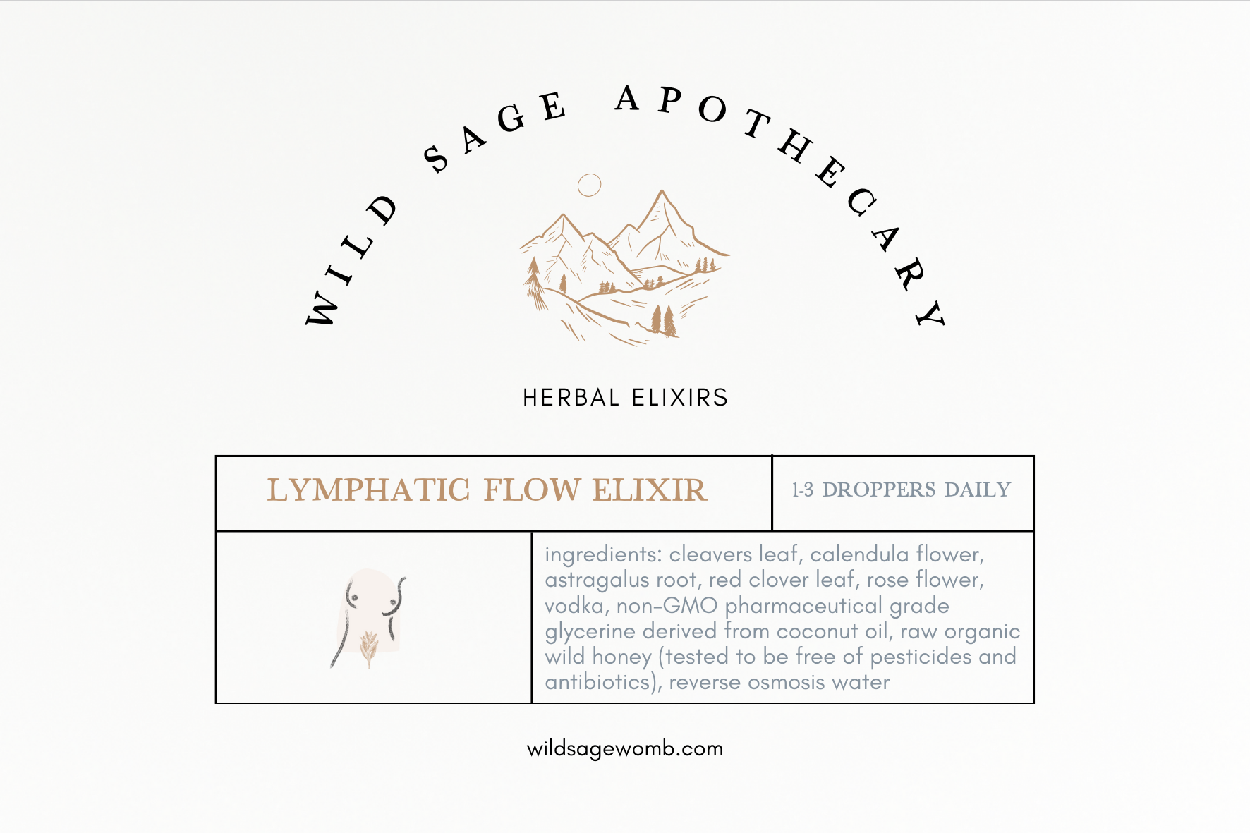 Lymphatic flow.png
