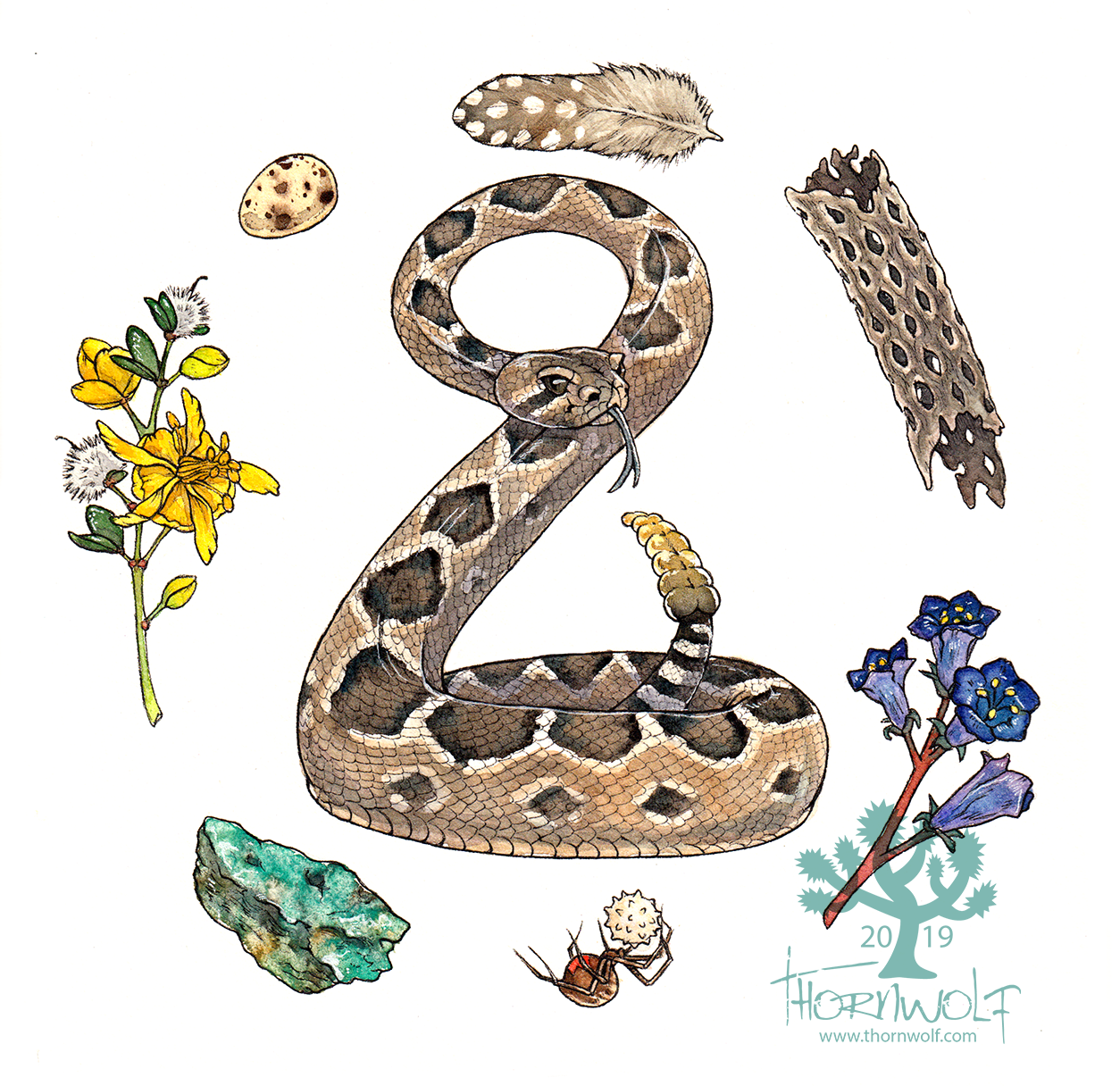 Png Gold Rattle Rattlesnake Png