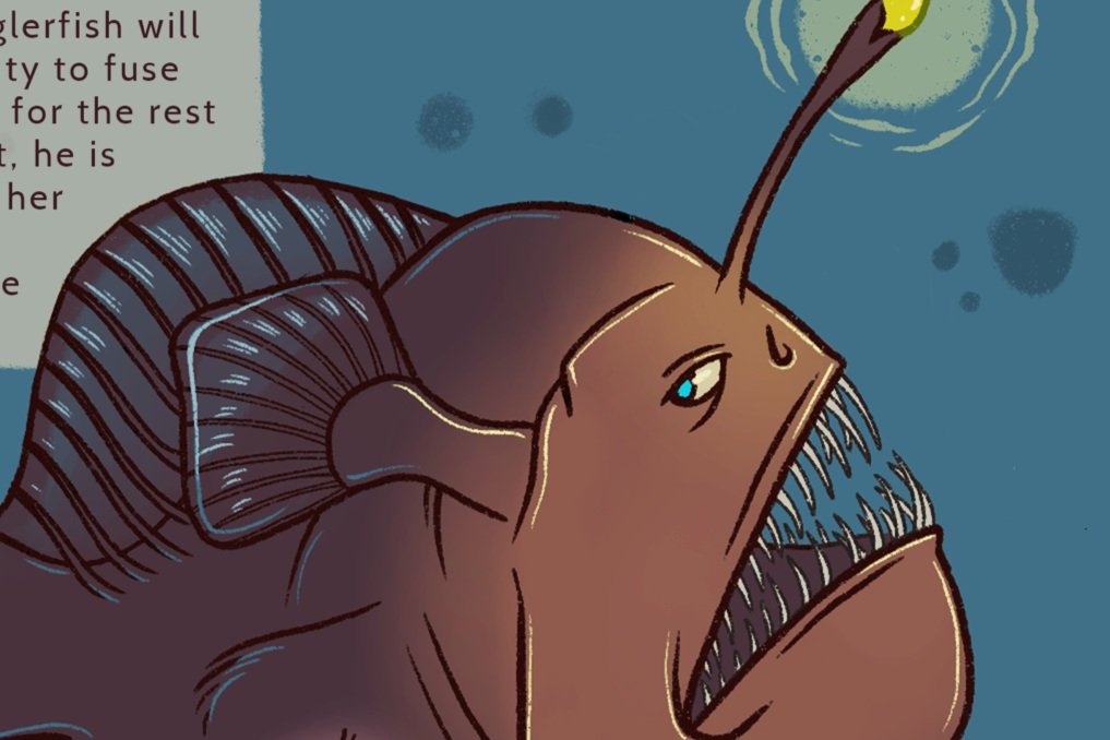 Faunal Exams: Parasitic Male