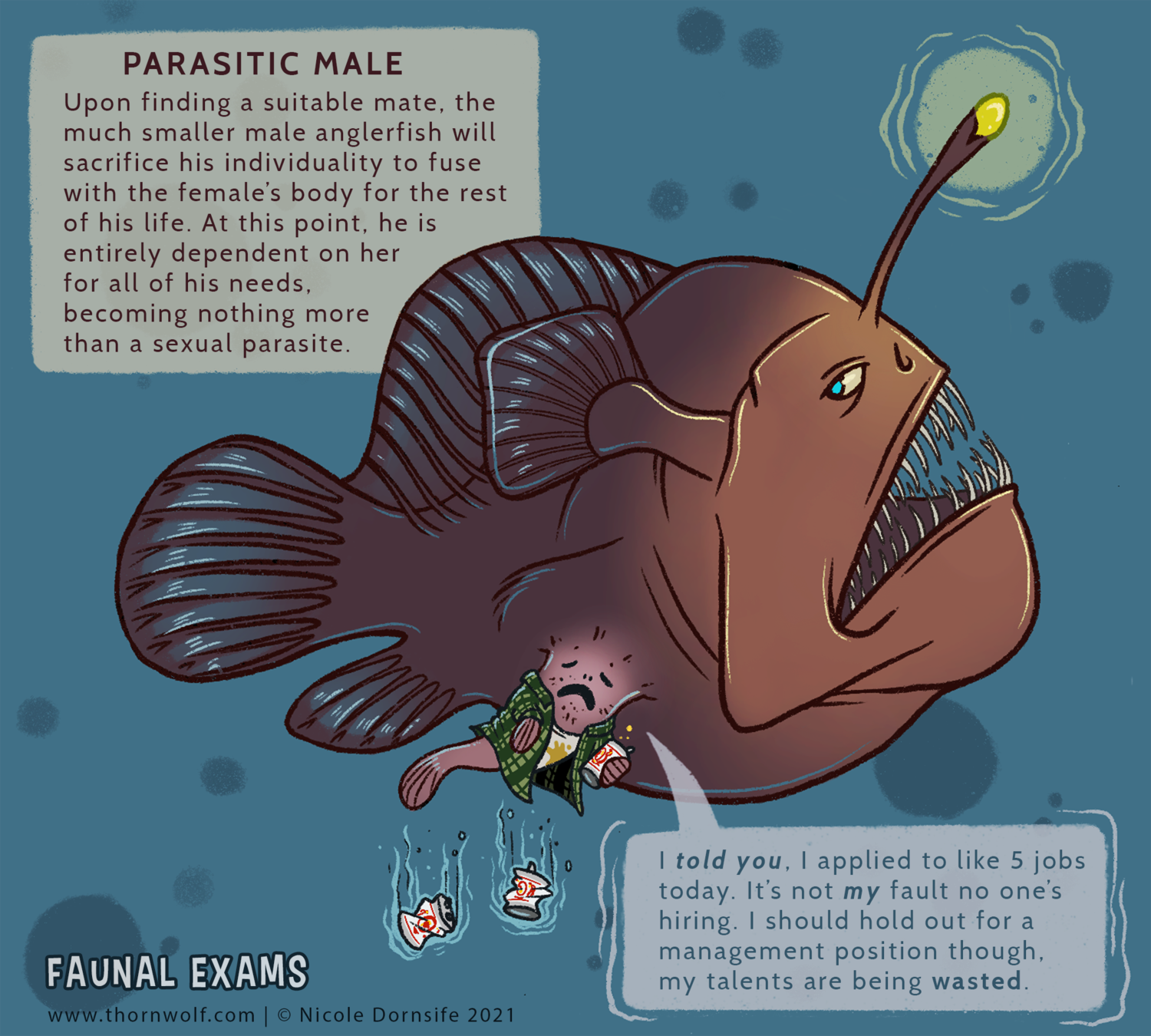 Angler Fish Anatomy 10 Astonishing Facts About Anglerfish: Nature's