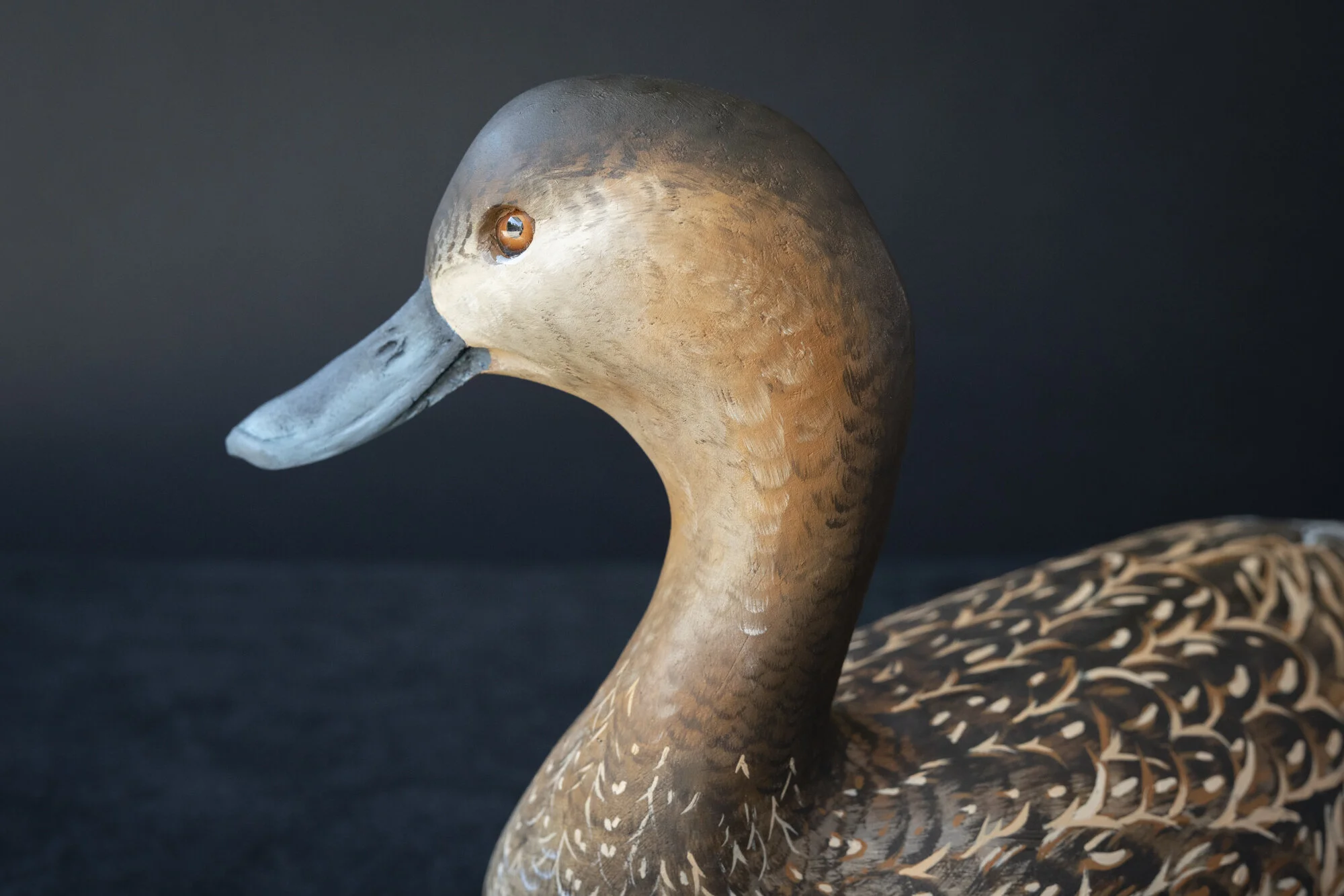 ZachBensonDuckDecoy5-01352.jpg