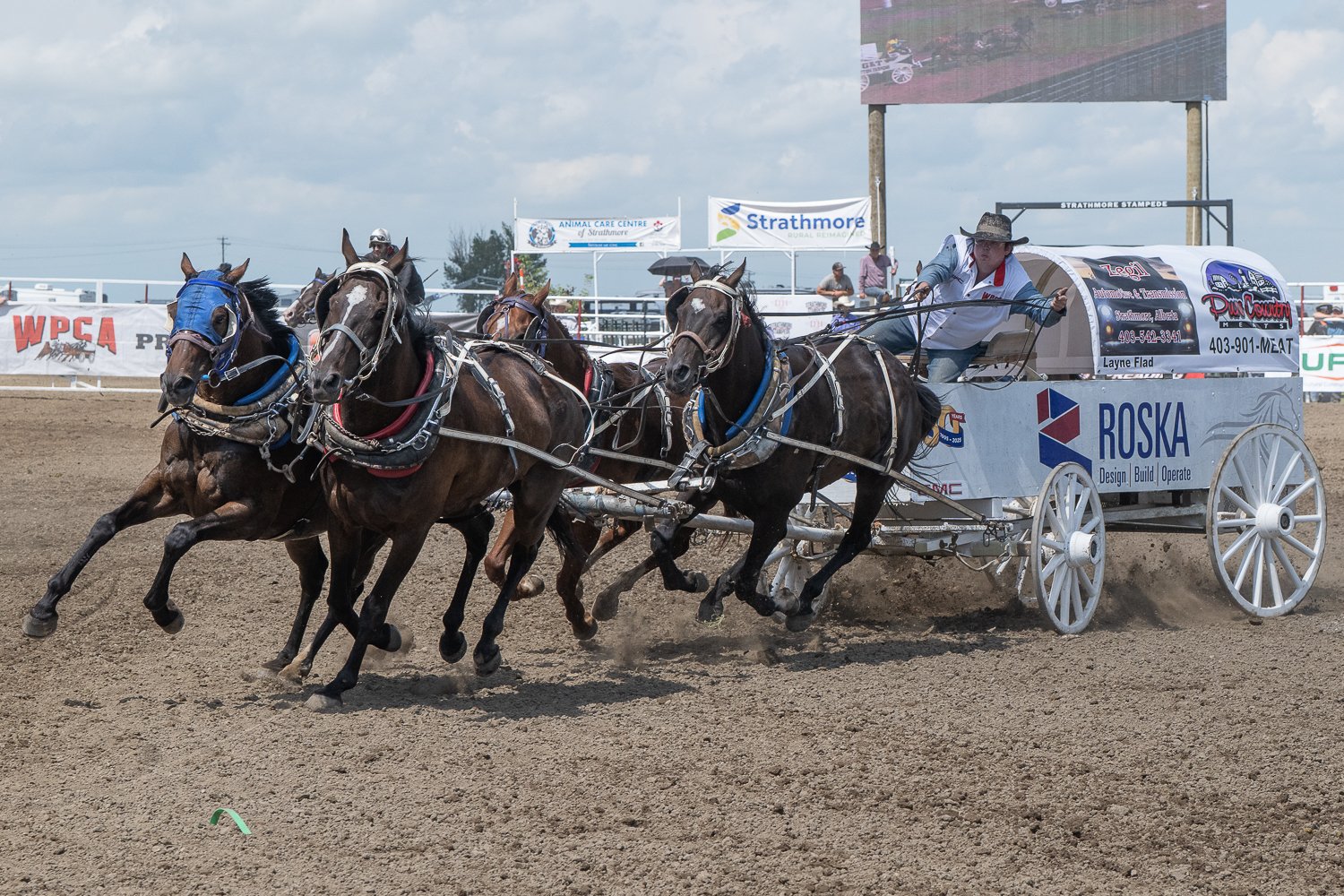 What Chuckwagon Racing Taught Me About Building High-Performance Teams