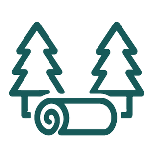 Pulp & Paper and Forestry