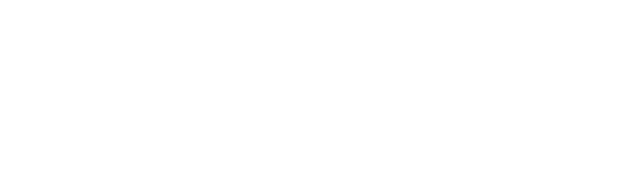 bossip-logo.png