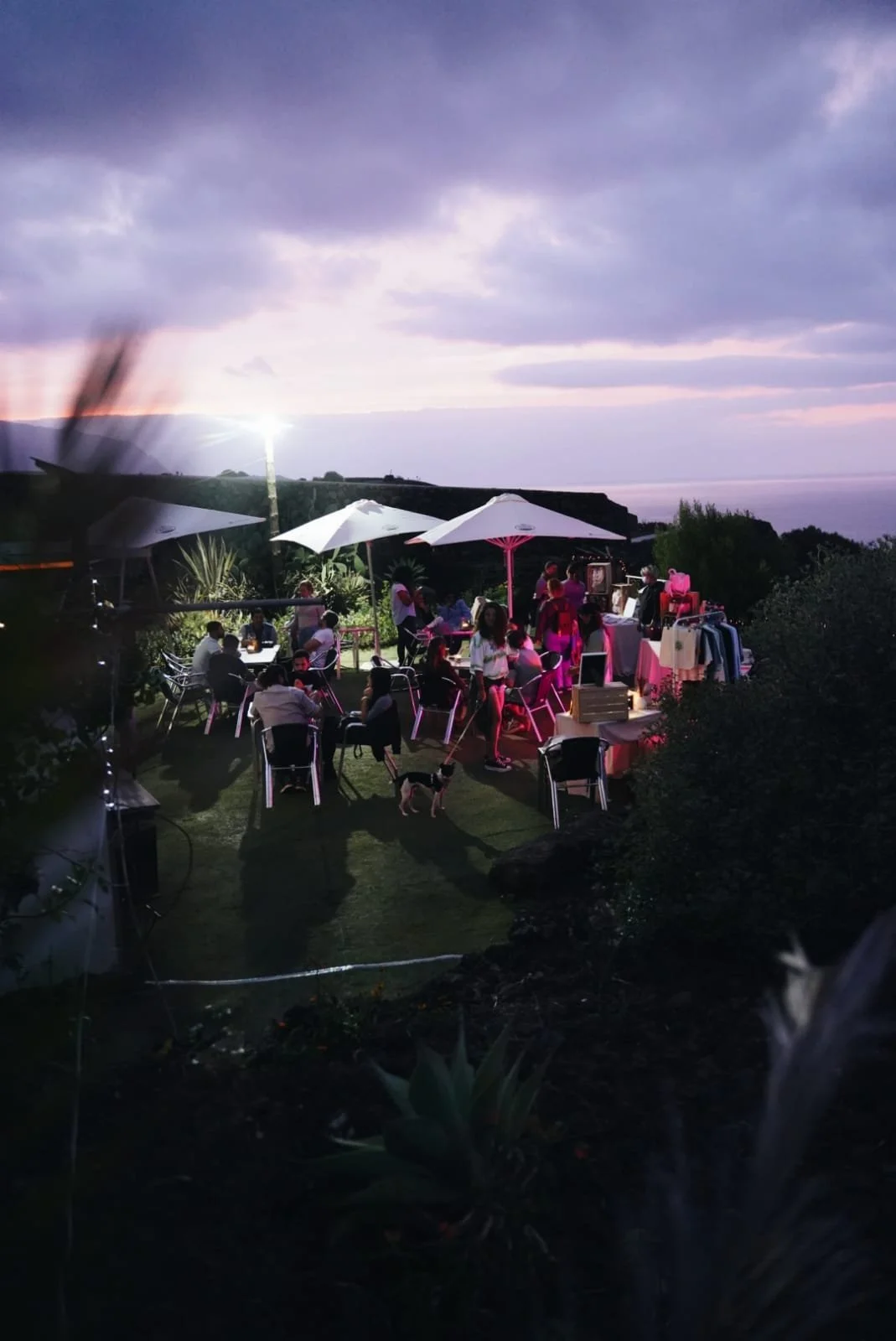 WhatsApp Image 2021-11-22 at 12.02.21.jpeg