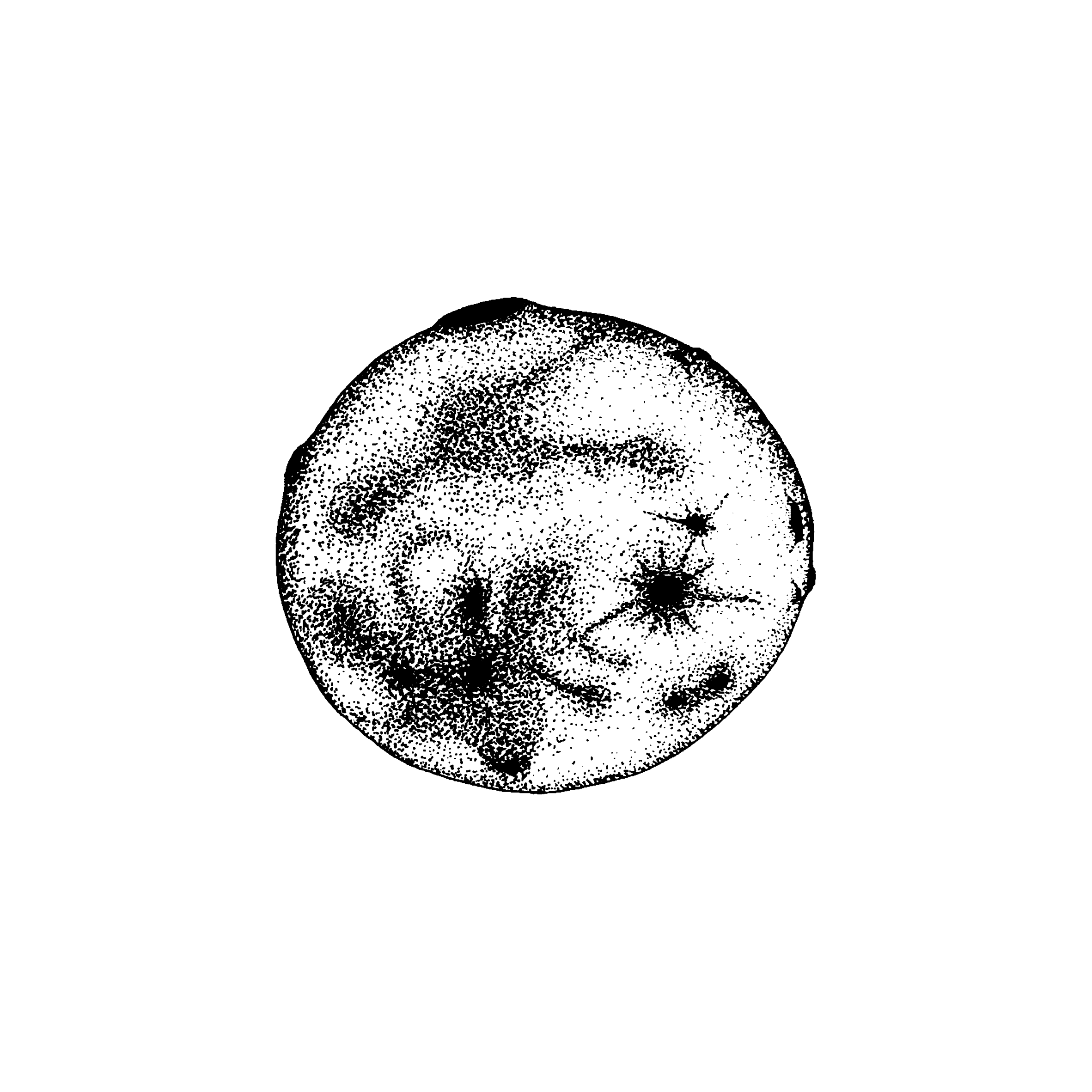PRINT - EL HIERRO-63.png