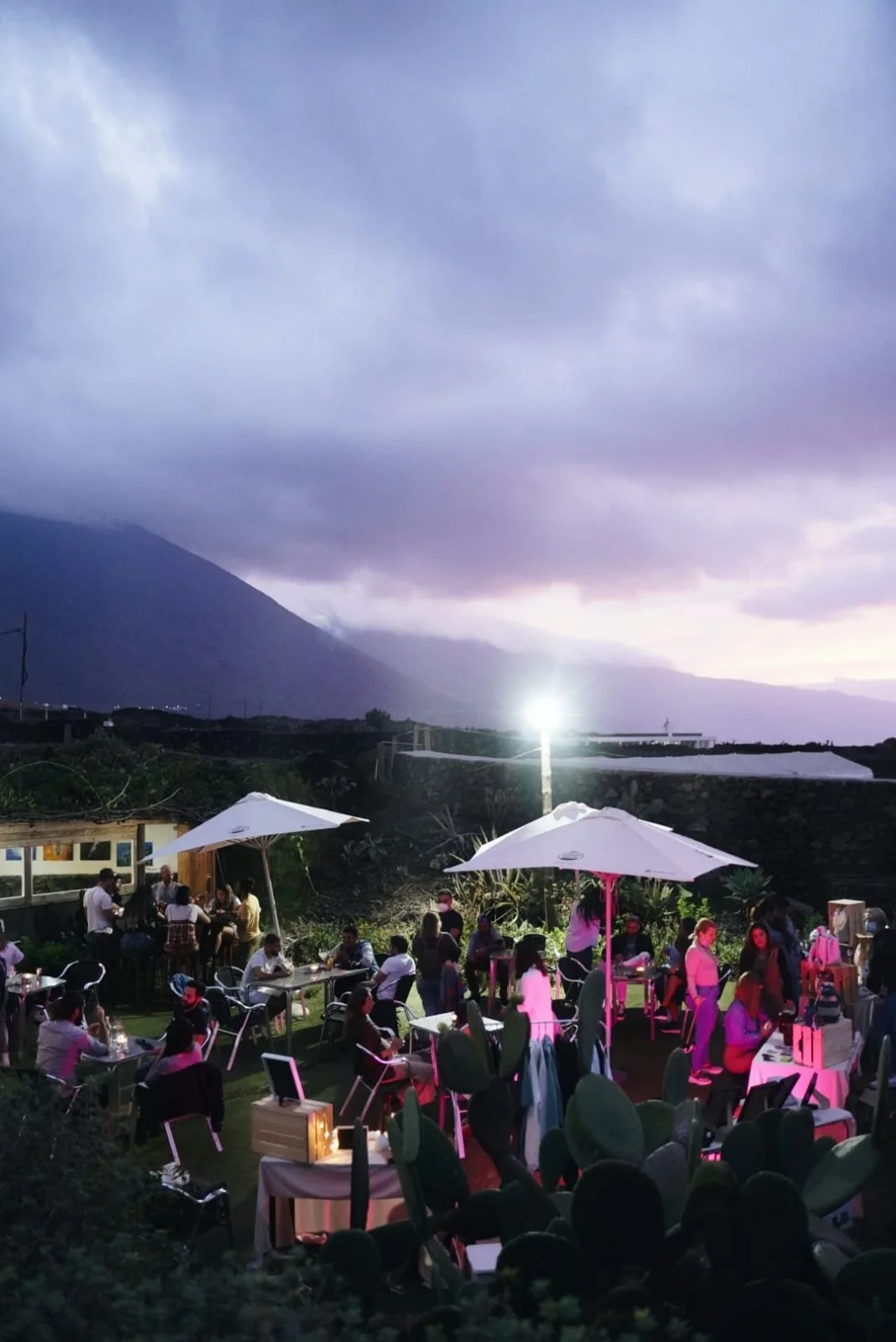 WhatsApp Image 2021-11-22 at 12.02.21 (1).jpeg