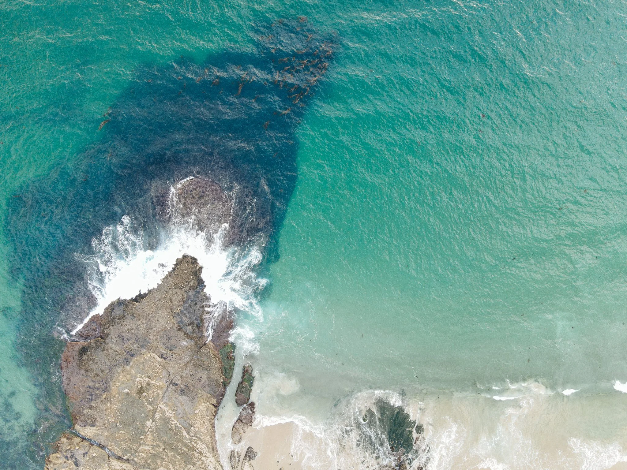DJI_0386.jpg