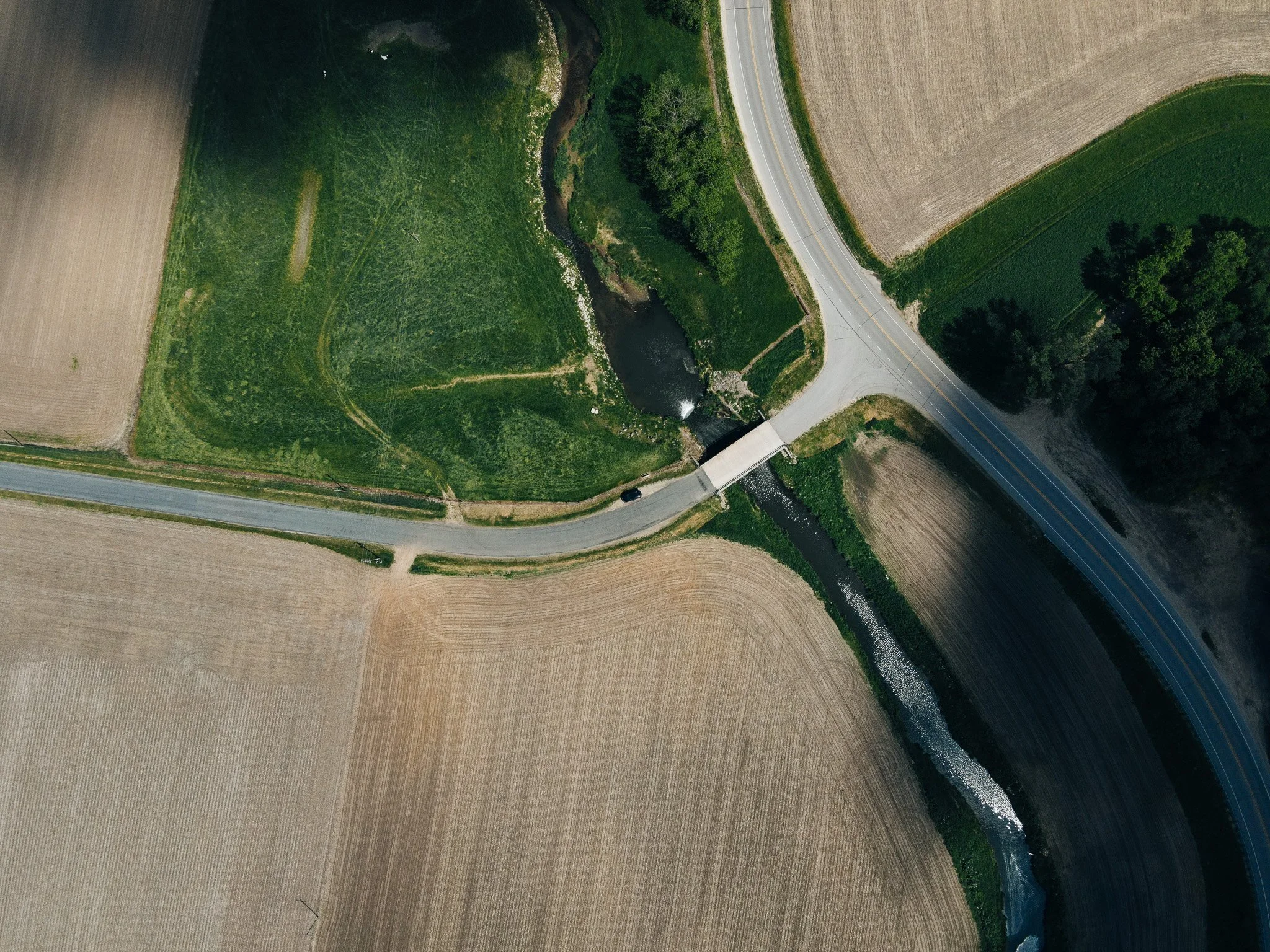DJI_0534.jpg