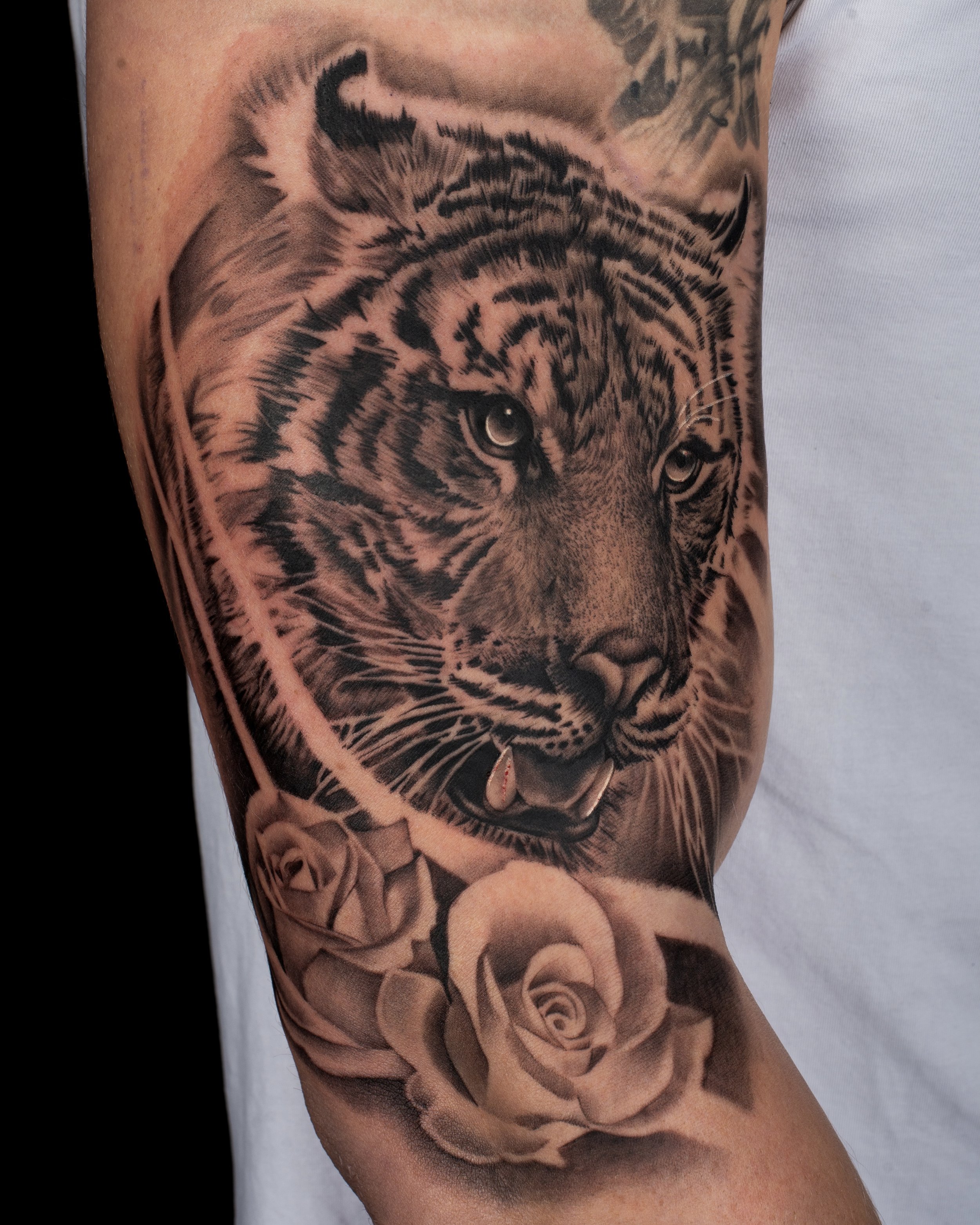 15 Best Tiger and Rose Tattoo Designs  PetPress
