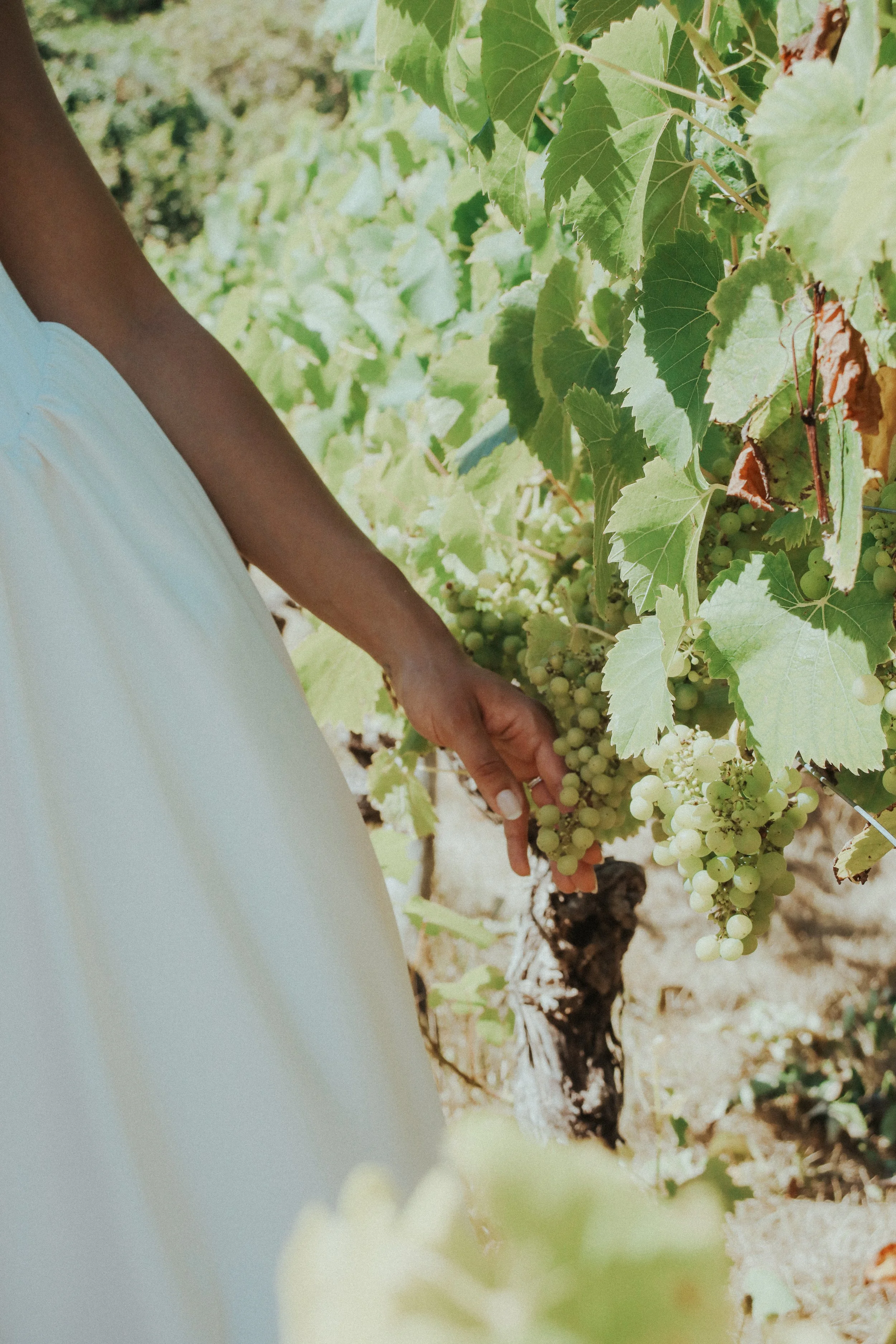 A&A wedding 26-322.jpg
