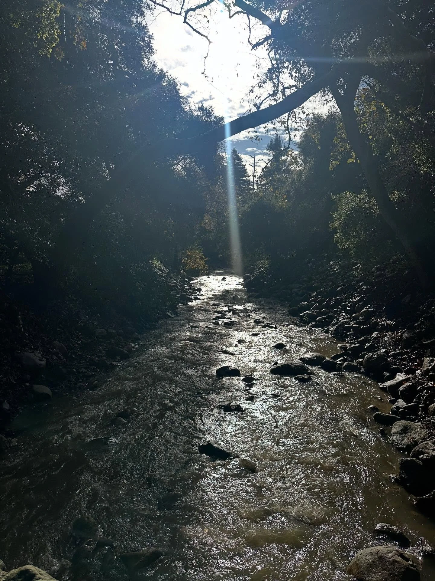 The clear after the storm this morning. Welcome 2026. 🙏&hearts;️🌤️